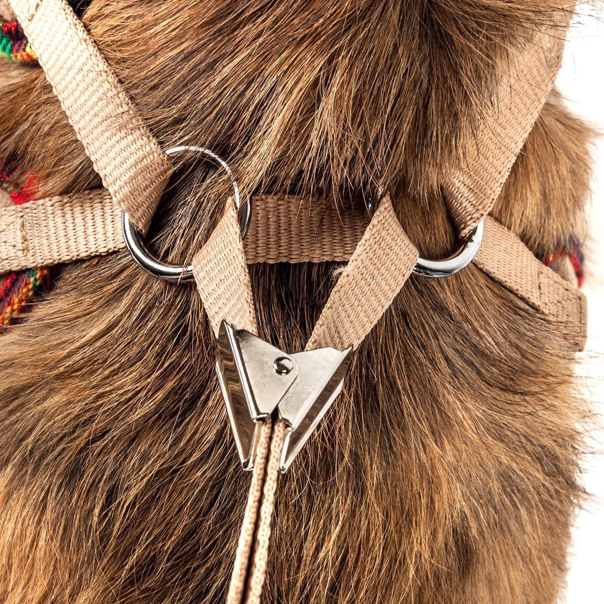 Pet Life Luxe Dapperbone 2-In-1 Adjustable Fashion Dog Harness and Leash
