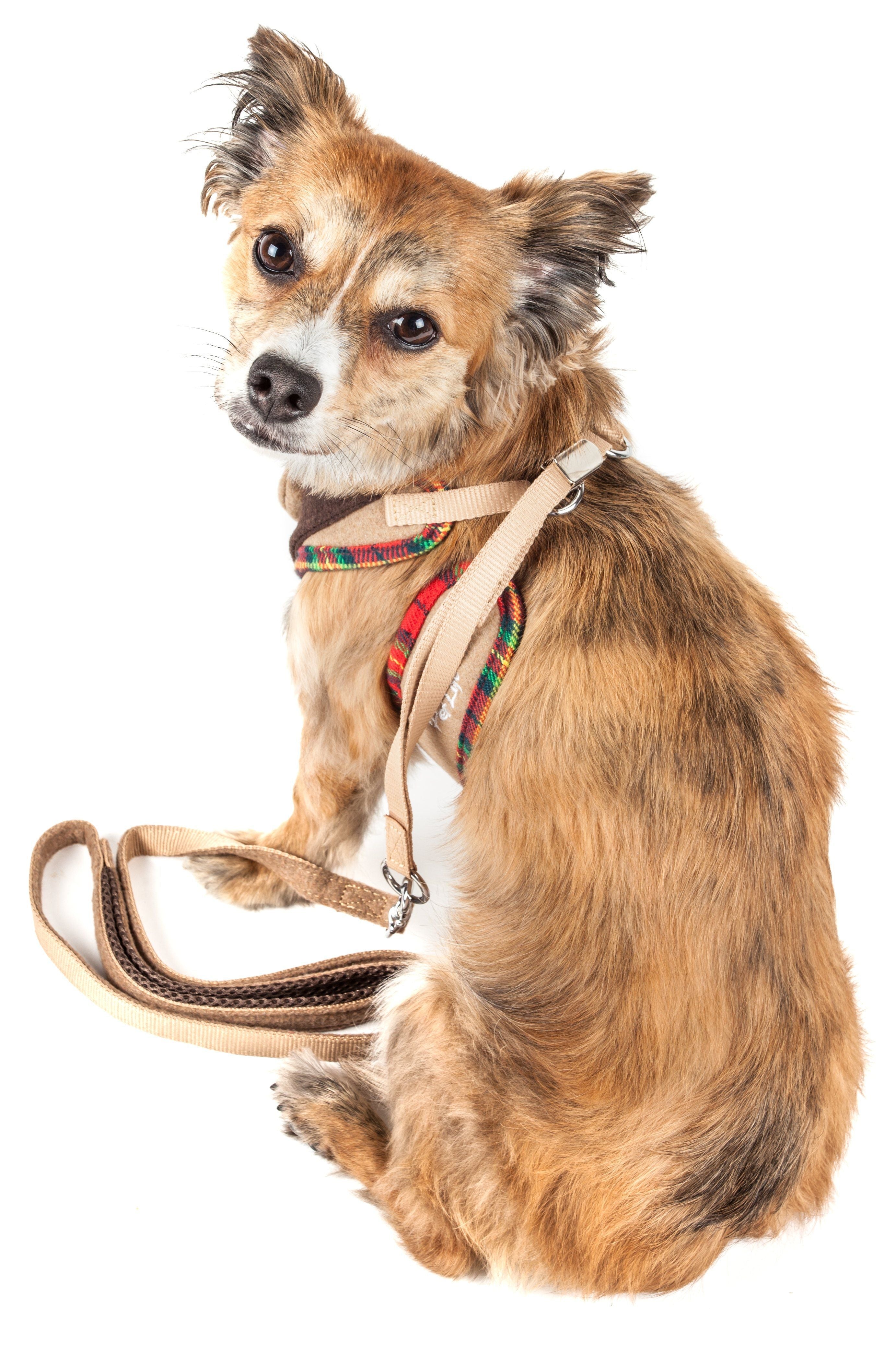 Pet Life Luxe Dapperbone 2-In-1 Adjustable Fashion Dog Harness and Leash