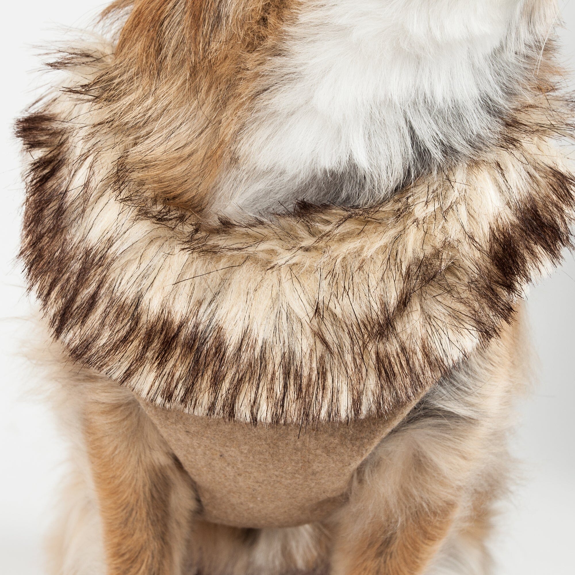 Pet Life Luxe Furracious 2-In-1 Adjustable Dog Harness and Leash with Detachable Fur Collar | HT Animal Supply