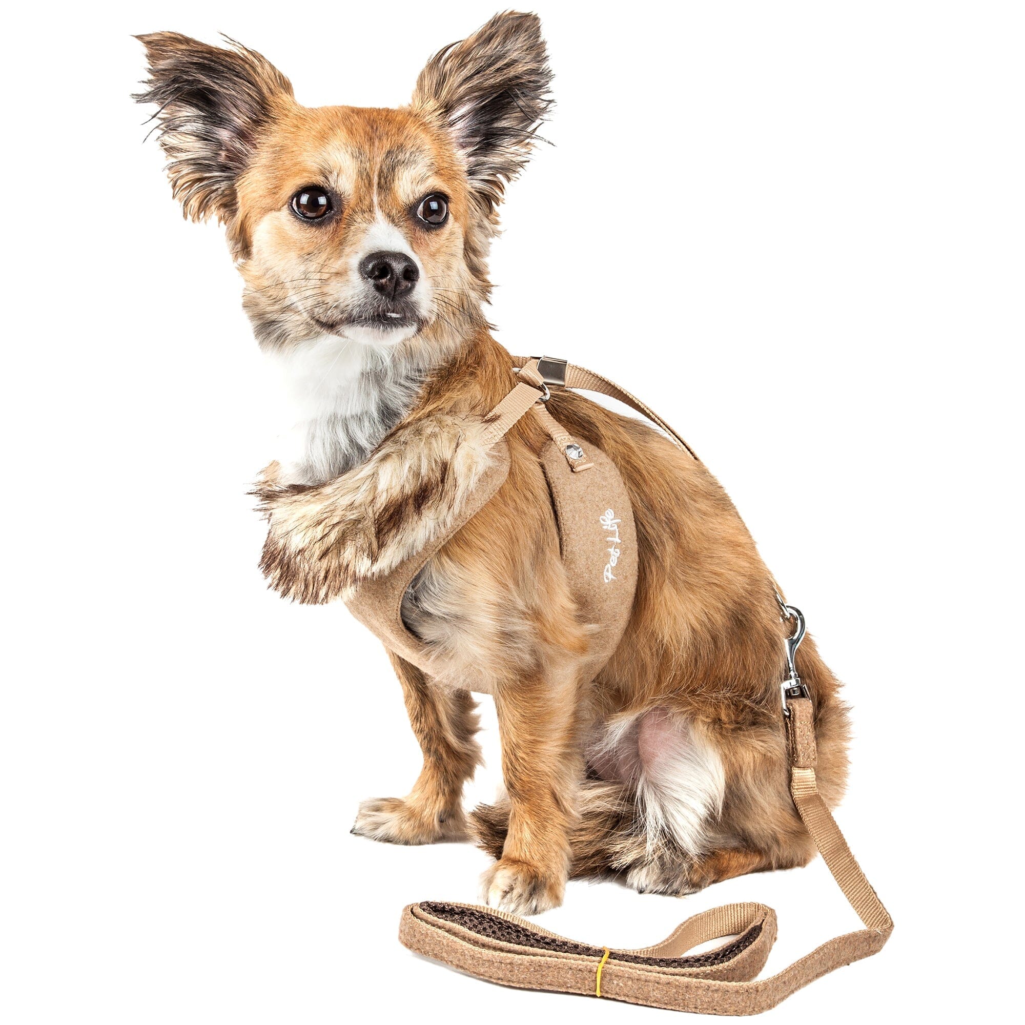 Pet Life Luxe Furracious 2-In-1 Adjustable Dog Harness and Leash with Detachable Fur Collar | HT Animal Supply