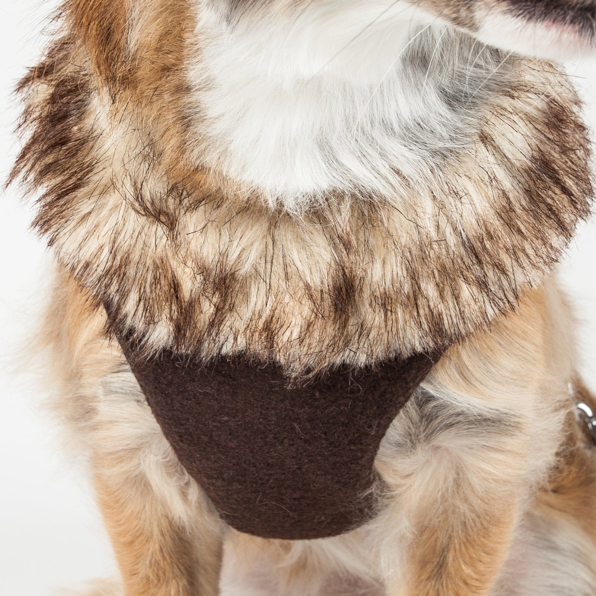 Pet Life Luxe Furracious 2-In-1 Adjustable Dog Harness and Leash with Detachable Fur Collar | HT Animal Supply