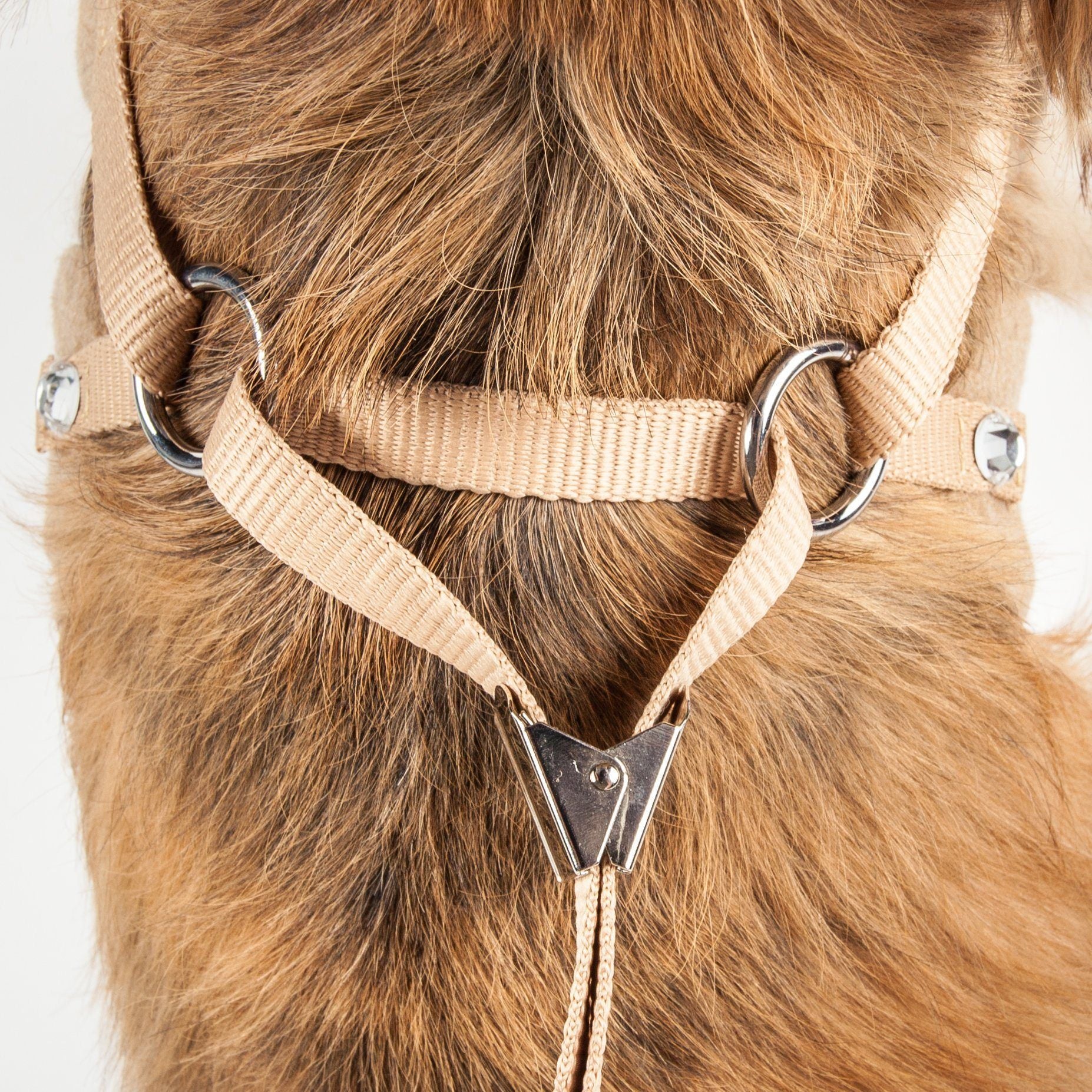 Pet Life ® Luxe Furracious 2-In-1 Adjustable Dog Harness and Leash with Detachable Fur Collar