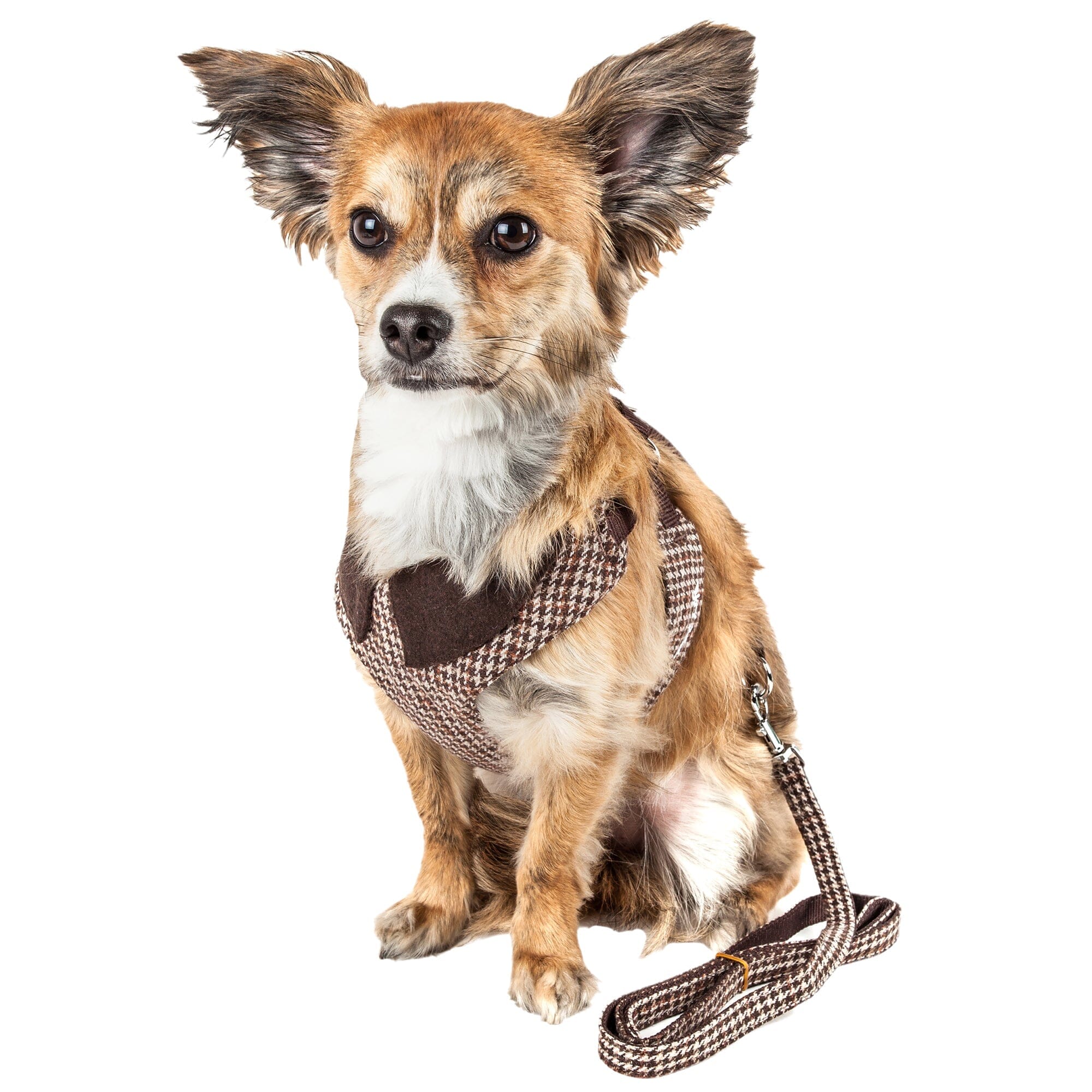 Pet Life Luxe Houndsome 2-In-1 Adjustable Designer Dog Harness and Leash | HT Animal Supply