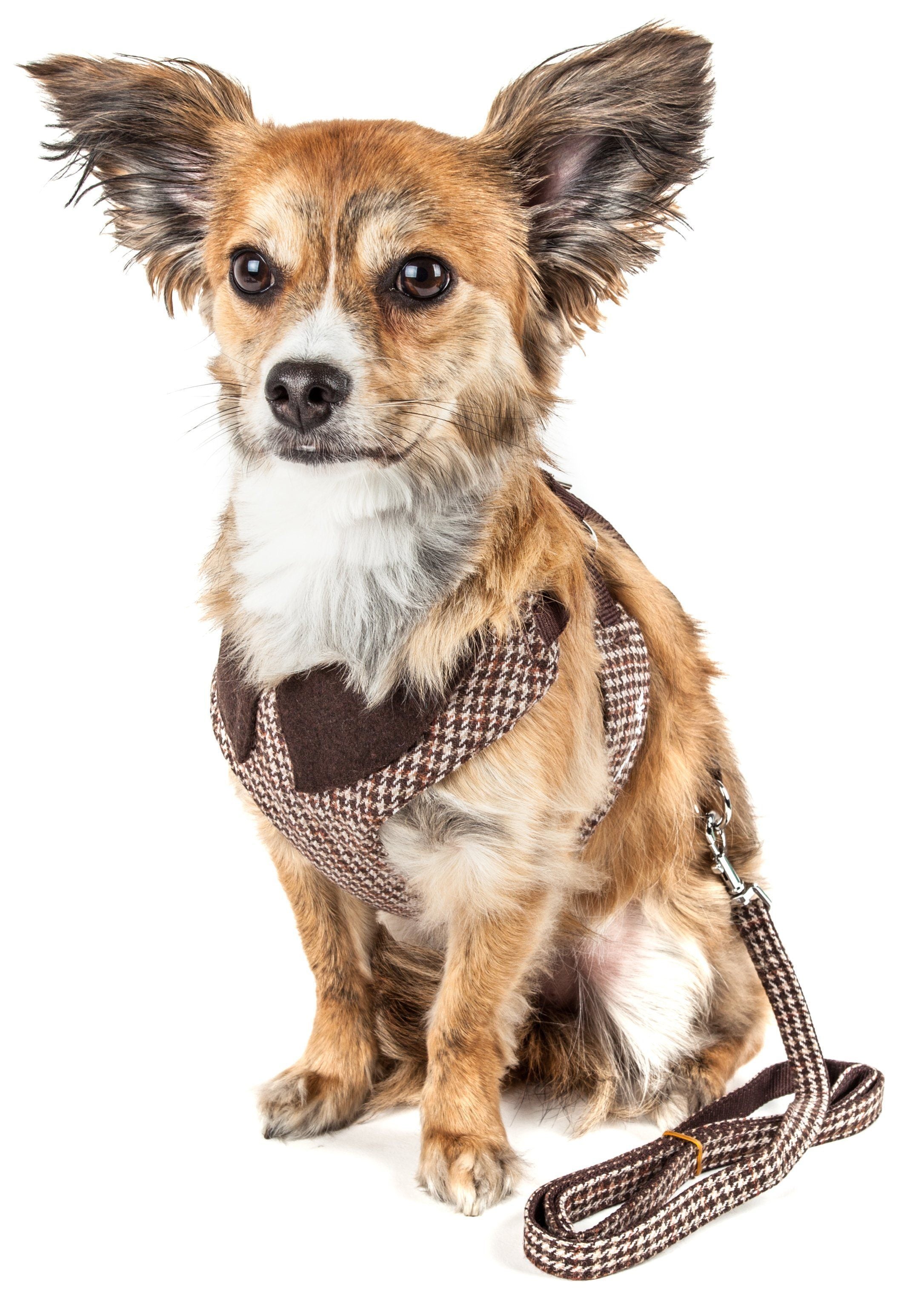 Pet Life Luxe Houndsome 2-In-1 Adjustable Designer Dog Harness and Leash