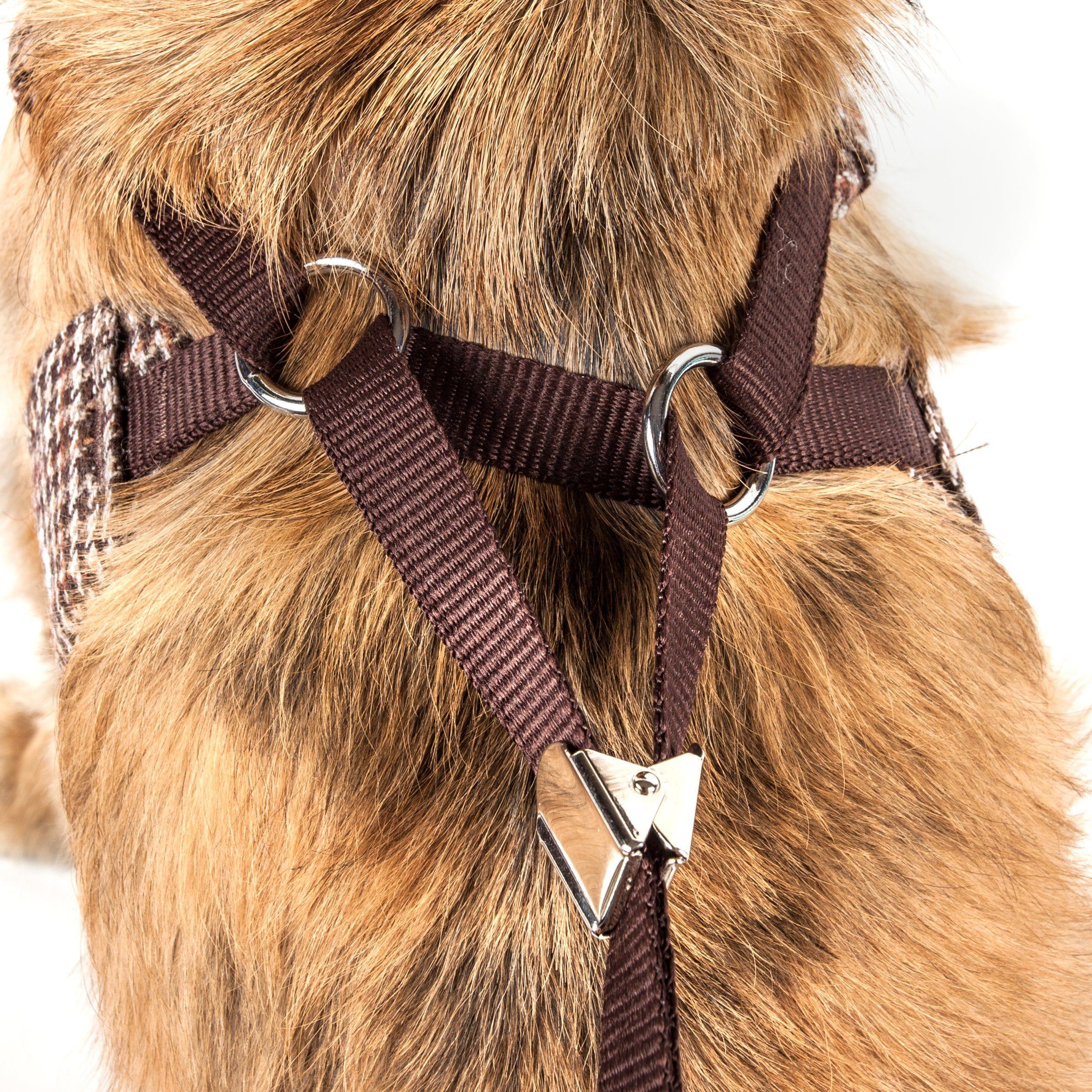 Pet Life Luxe Houndsome 2-In-1 Adjustable Designer Dog Harness and Leash