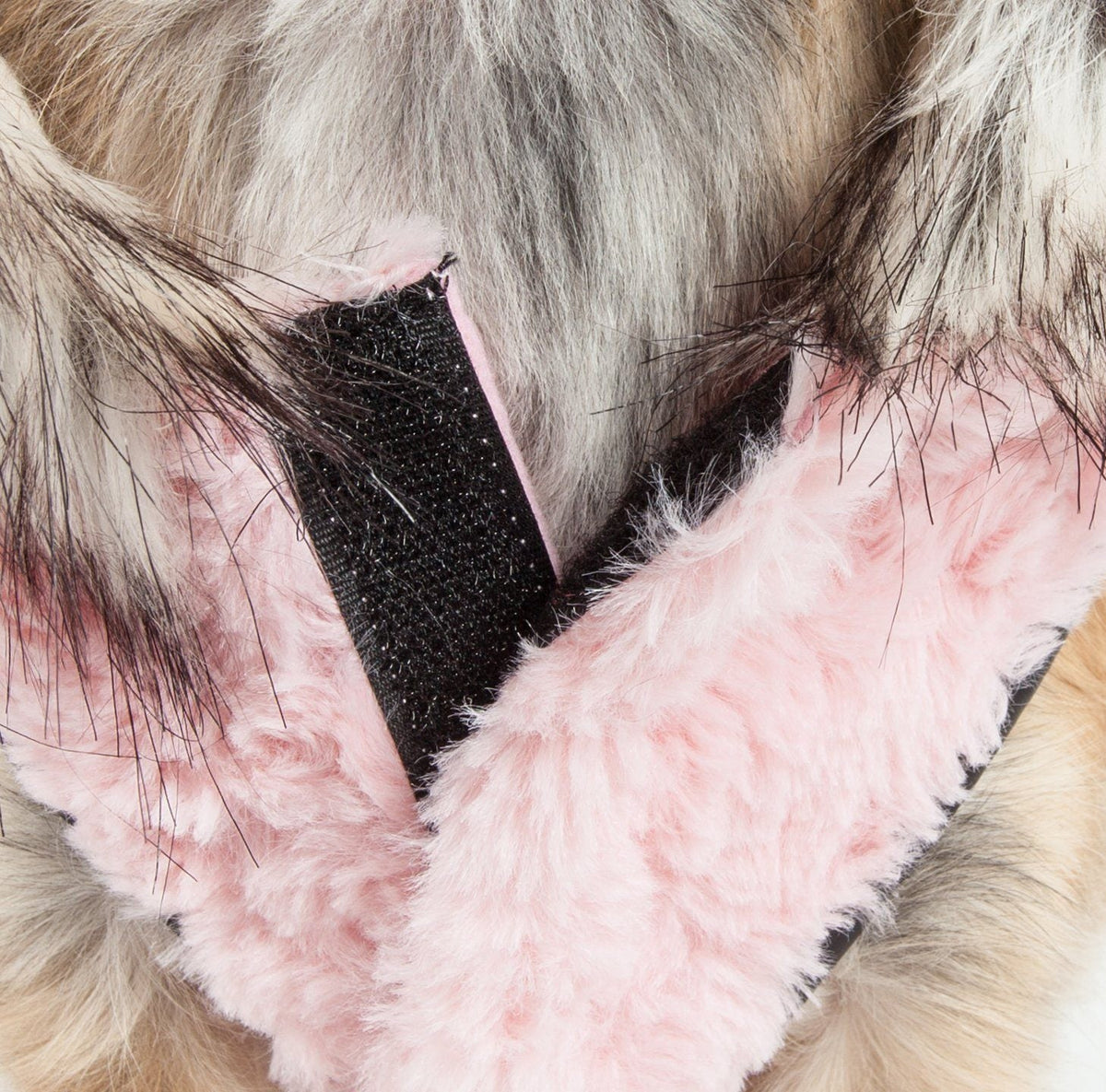 Pet Life Luxe Pinkachew Charming Fashion Mink Fur Dog Coat