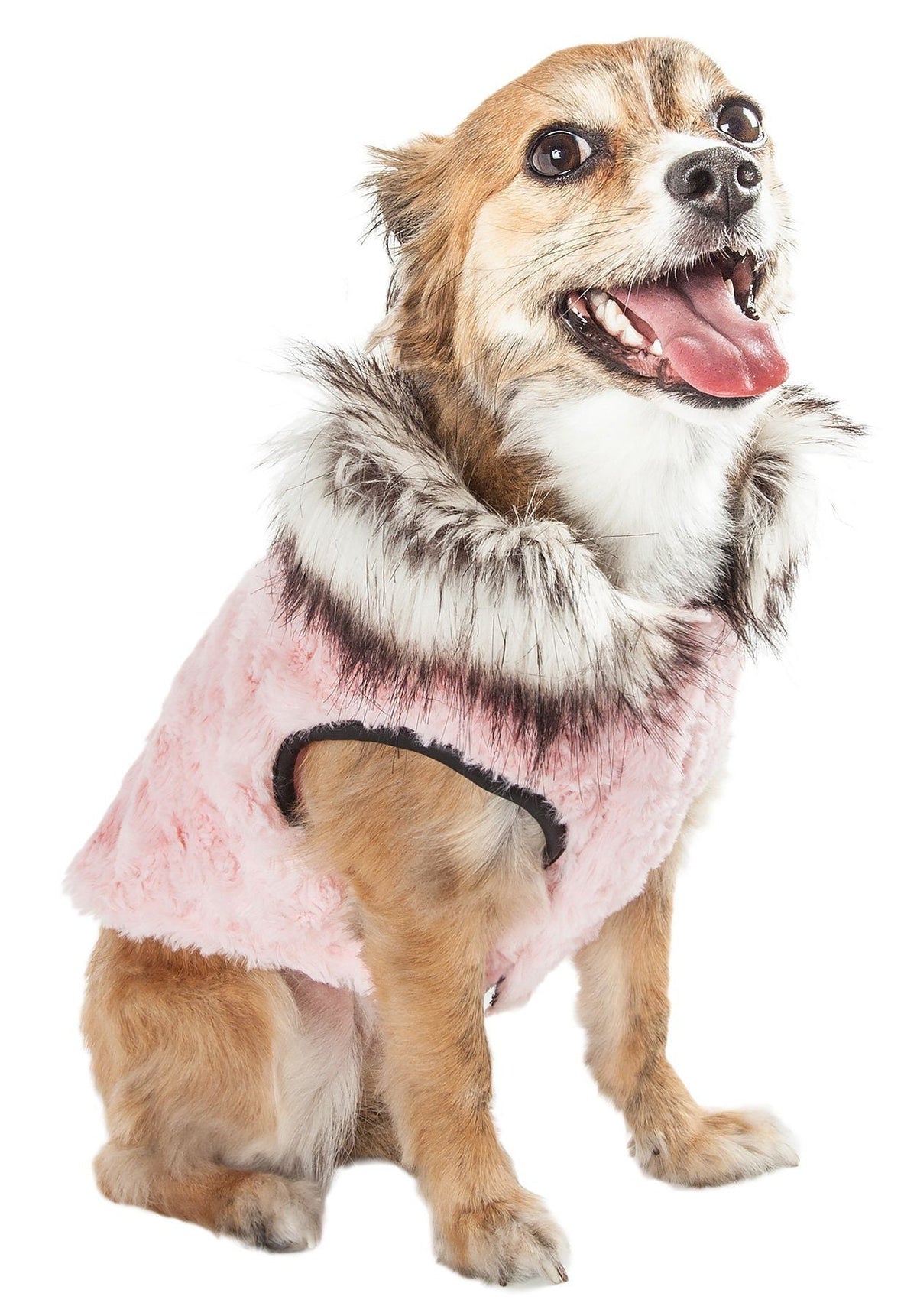 Pet Life Luxe Pinkachew Charming Fashion Mink Fur Dog Coat