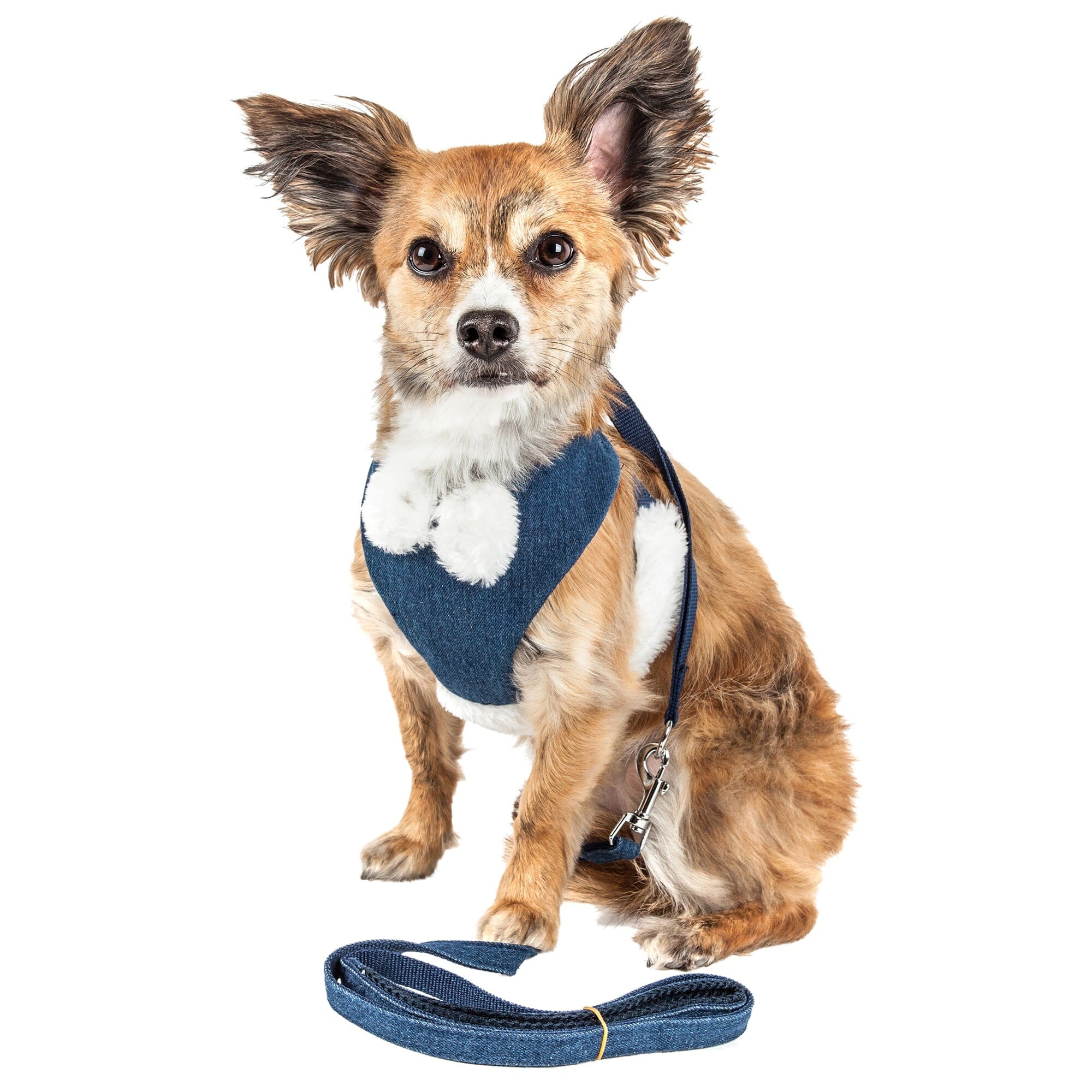 Pet Life Luxe Pom Draper 2-In-1 Adjustable Fashion Dog Harness and Leash | HT Animal Supply
