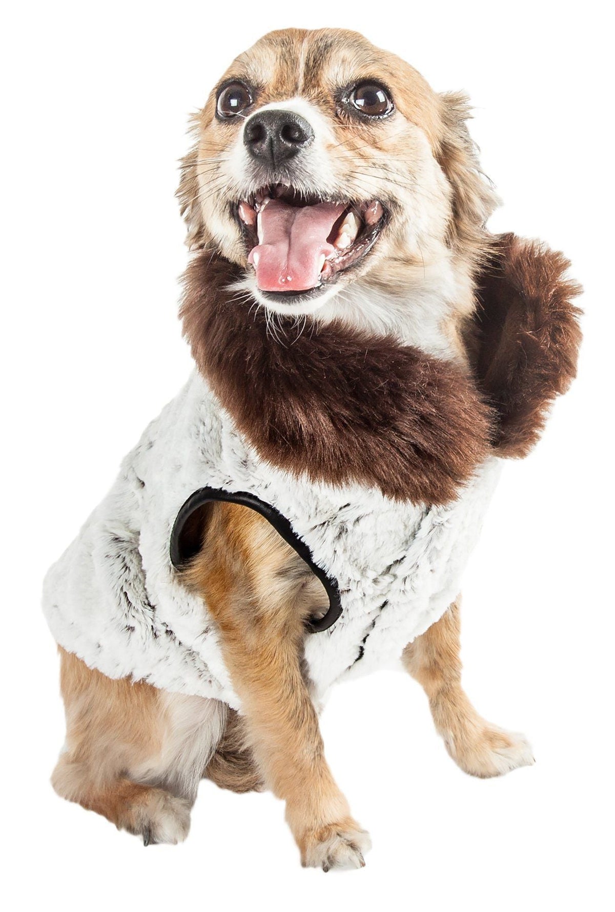 Pet Life Luxe Purrlage Pelage Designer Fashion Fur Dog Coat