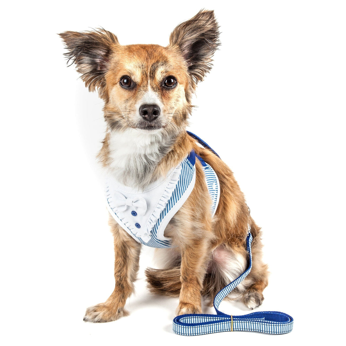 Pet Life Luxe Spawling 2-In-1 Adjustable Fashion Dog Harness and Leash | HT Animal Supply