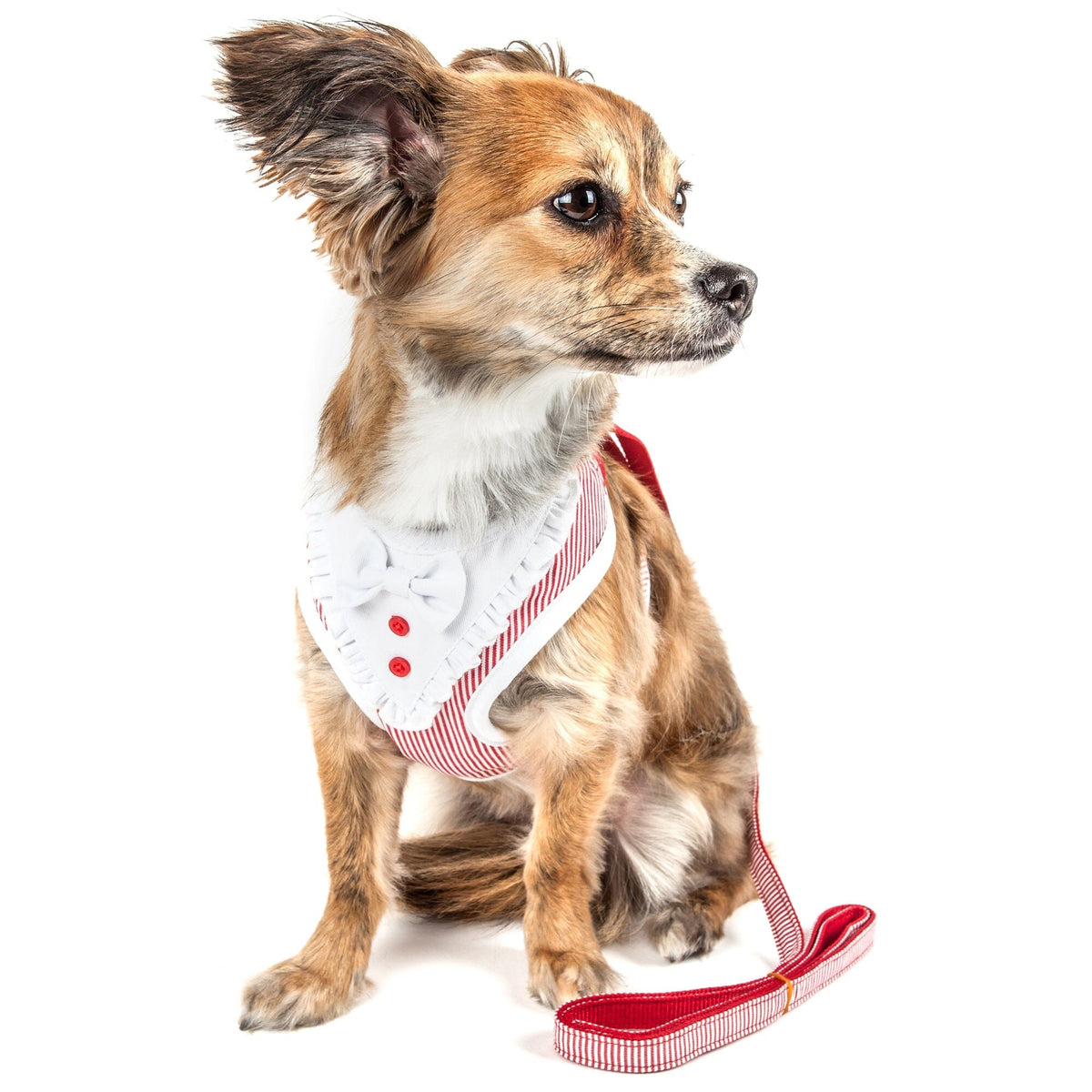 Pet Life Luxe Spawling 2-In-1 Adjustable Fashion Dog Harness and Leash | HT Animal Supply