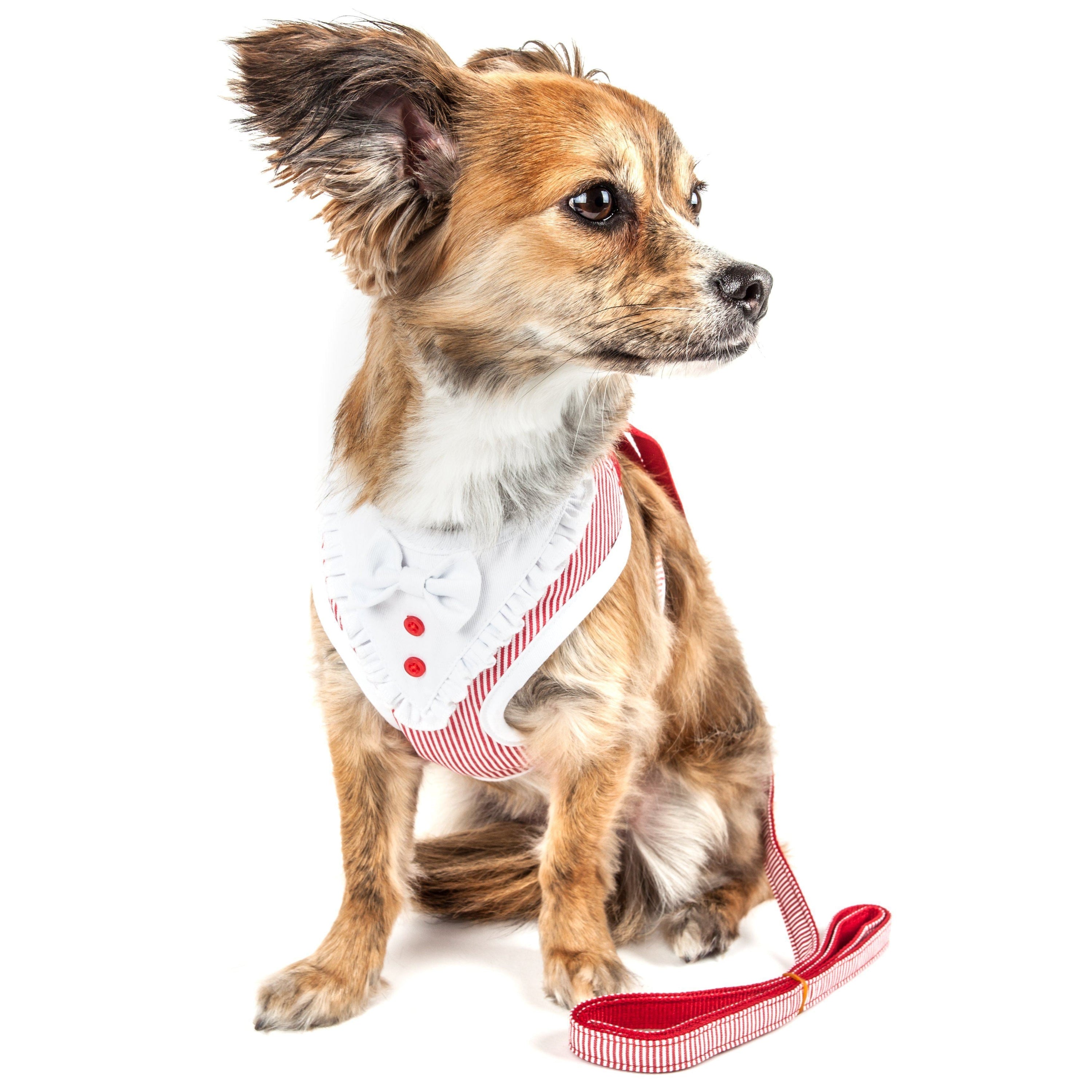Pet Life Luxe Spawling 2-In-1 Adjustable Fashion Dog Harness and Leash