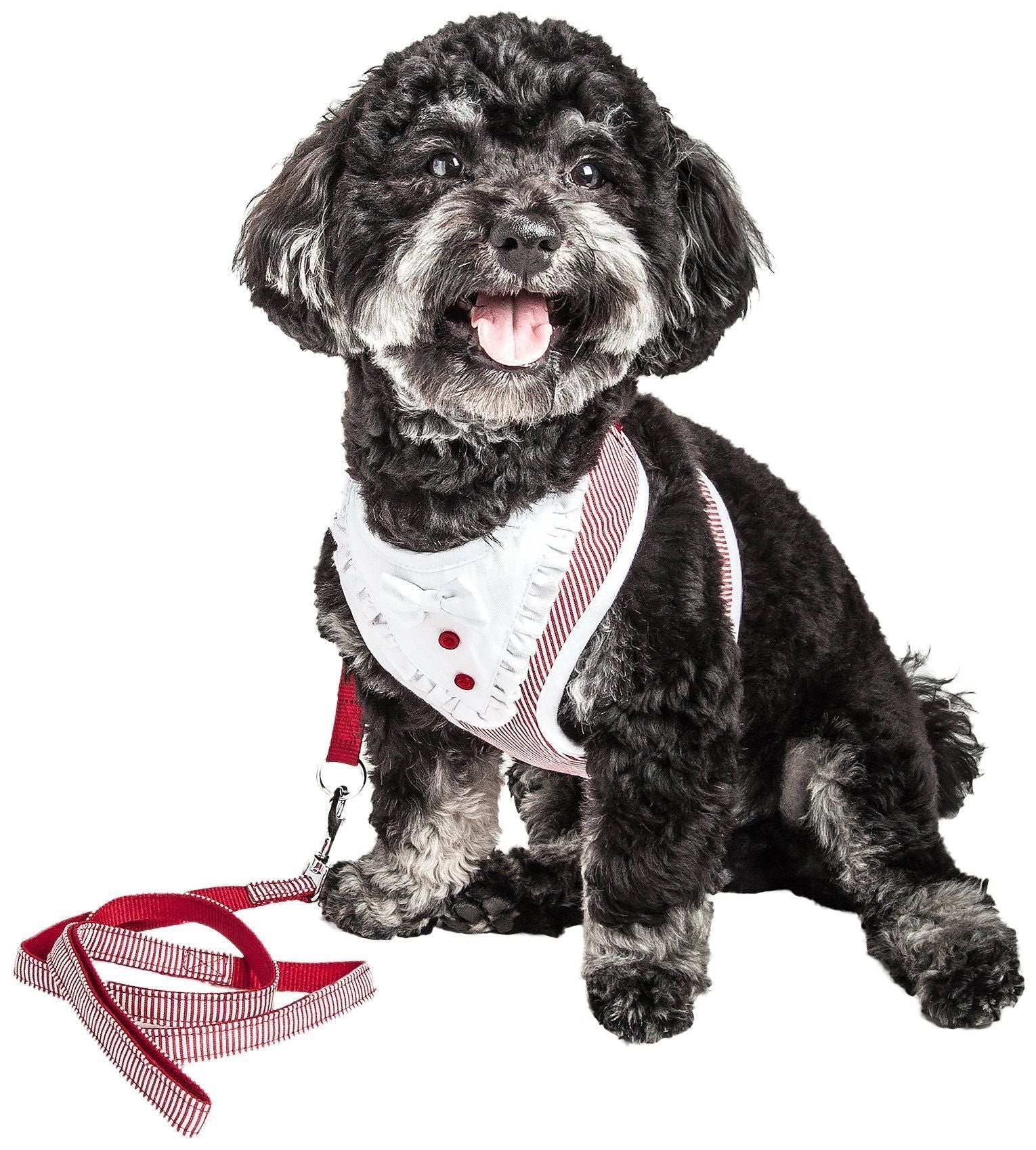 Pet Life Luxe Spawling 2-In-1 Adjustable Fashion Dog Harness and Leash