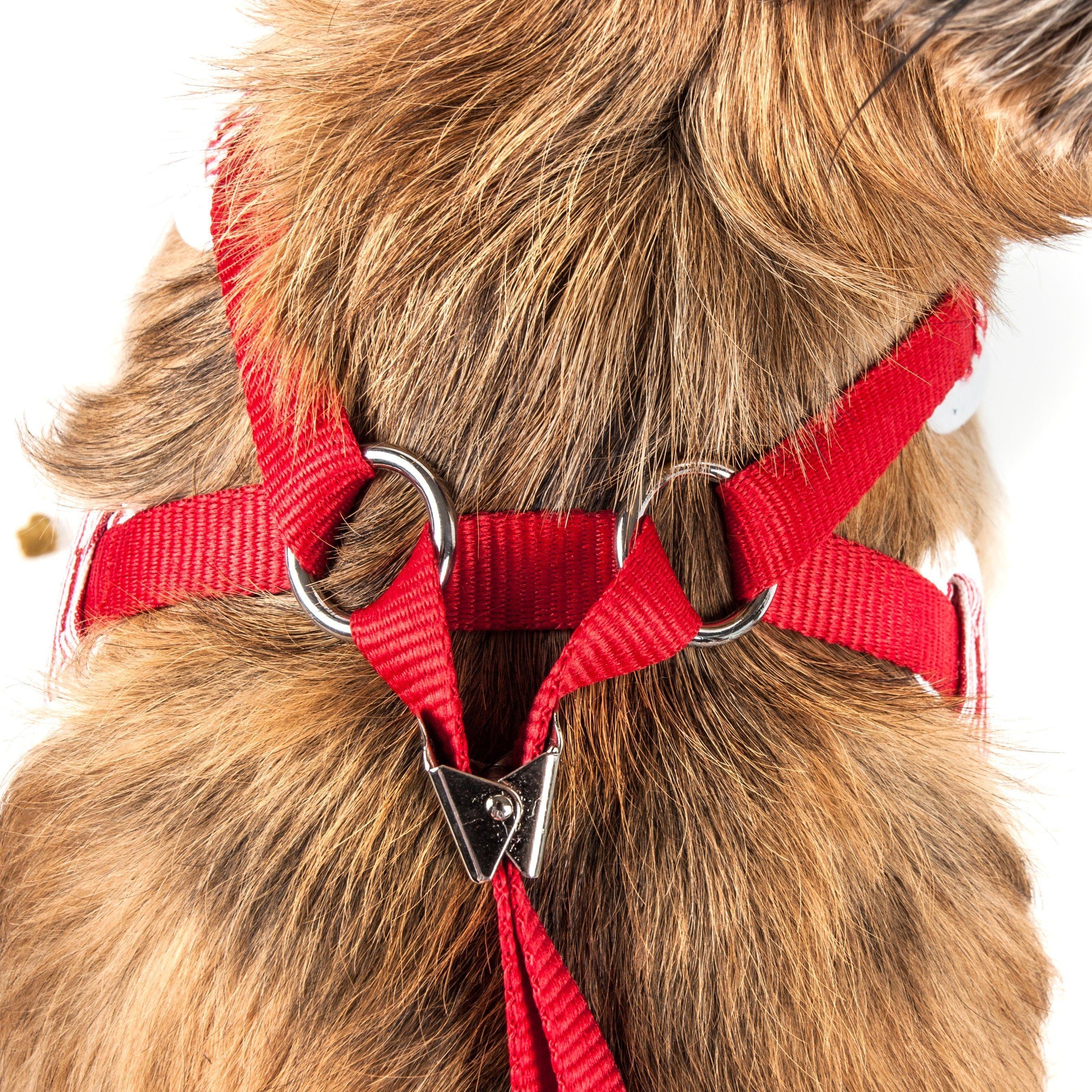 Pet Life ® Luxe Spawling 2-In-1 Adjustable Fashion Dog Harness and Leash