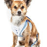 Pet Life ® Luxe Spawling 2-In-1 Adjustable Fashion Dog Harness and Leash