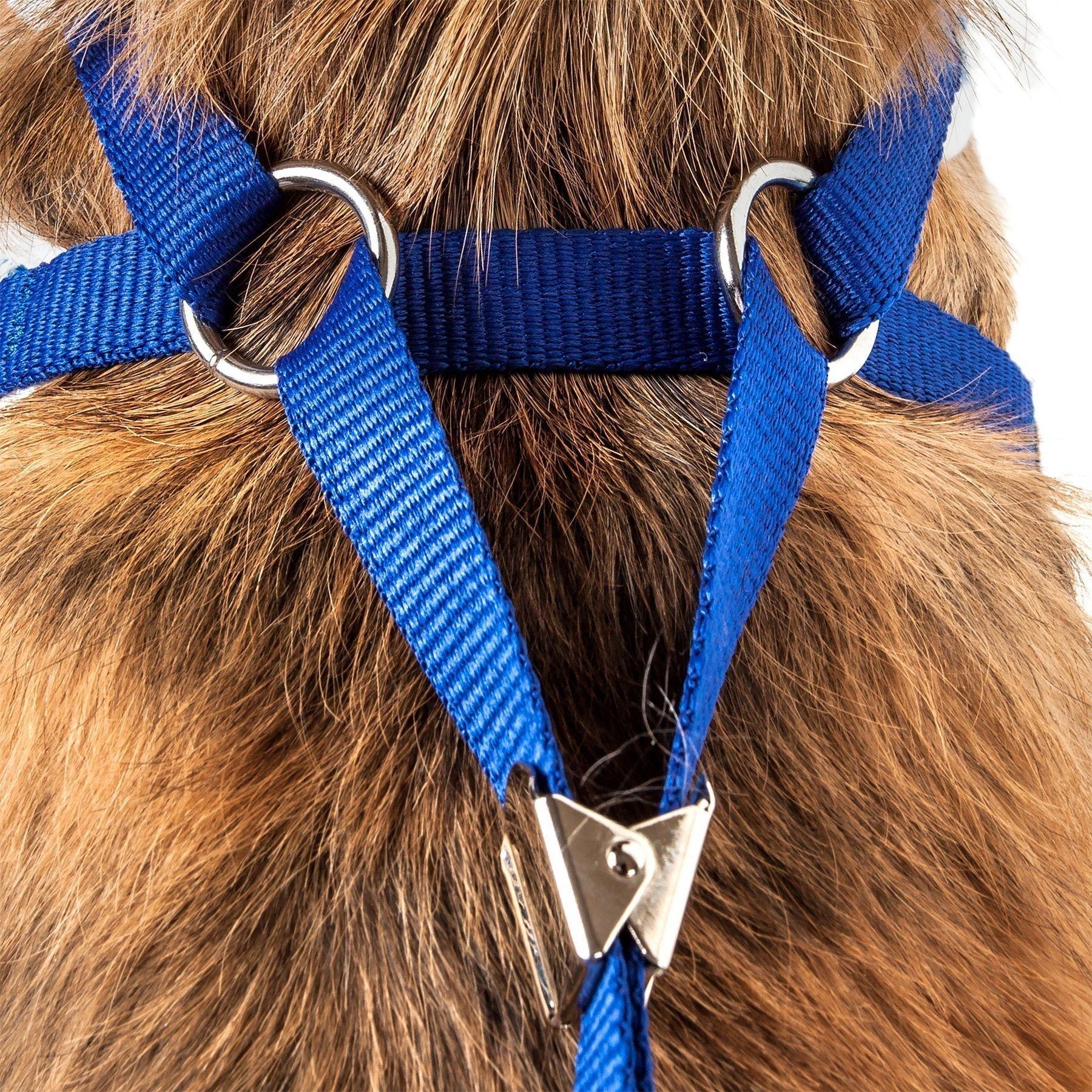 Pet Life ® Luxe Spawling 2-In-1 Adjustable Fashion Dog Harness and Leash