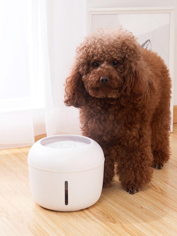 Pet Life Moda-Pure Ultra-Quite Filtered Dog and Cat Fountain Waterer