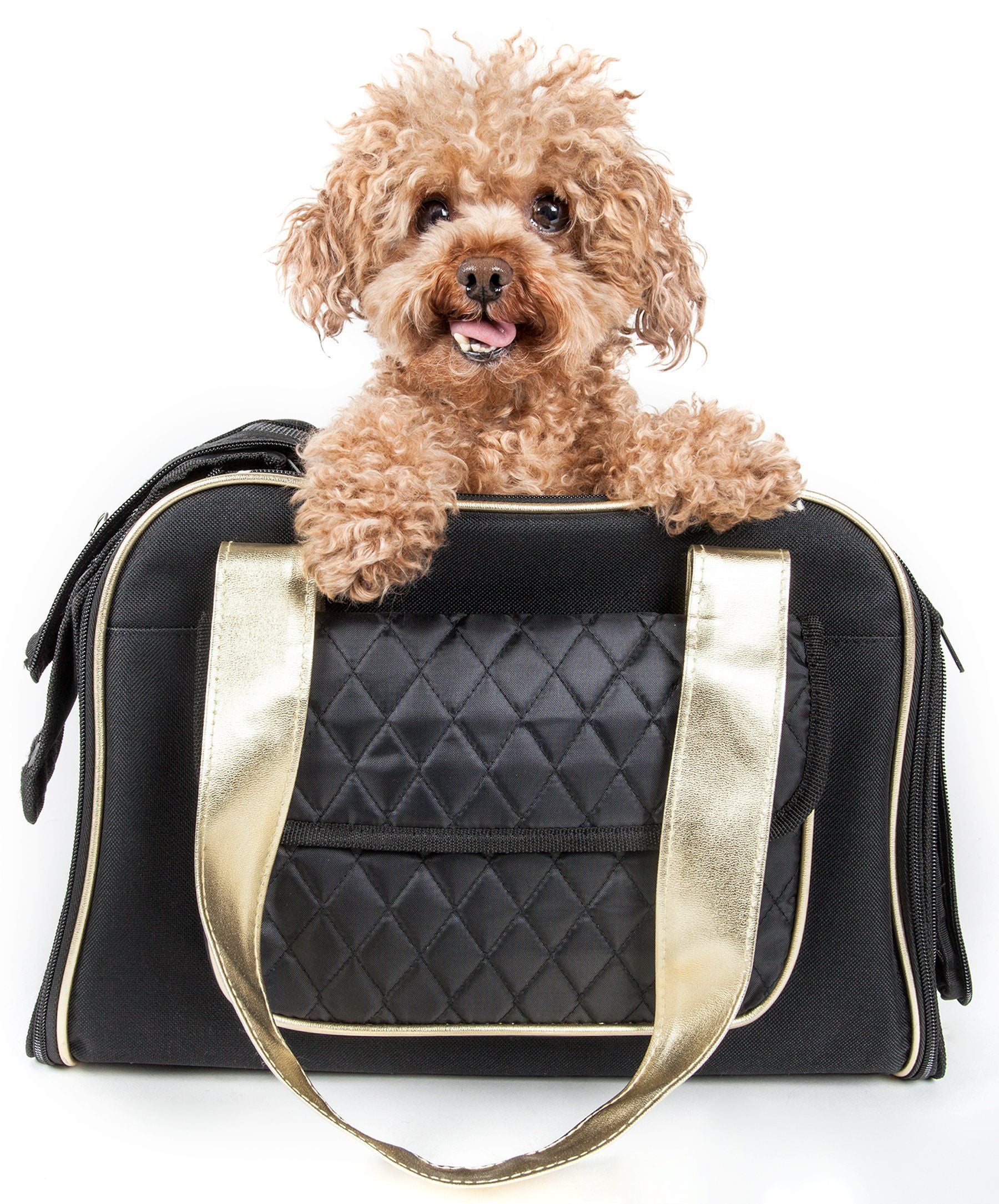 Pet Life Mystique Airline Approved Fashion Designer Travel Pet Dog Carrier w/ Pouch