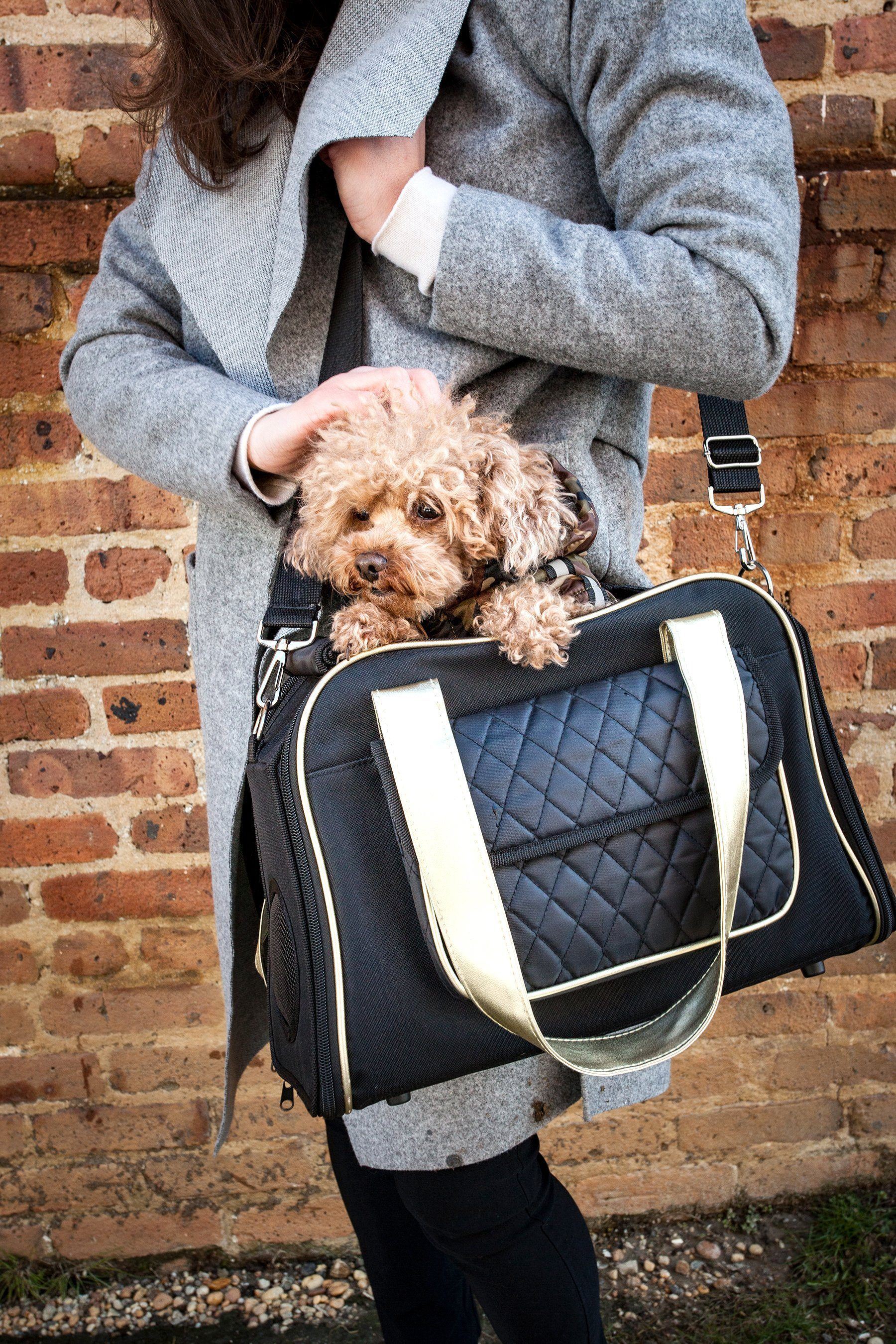 Pet Life Mystique Airline Approved Fashion Designer Travel Pet Dog Carrier w/ Pouch