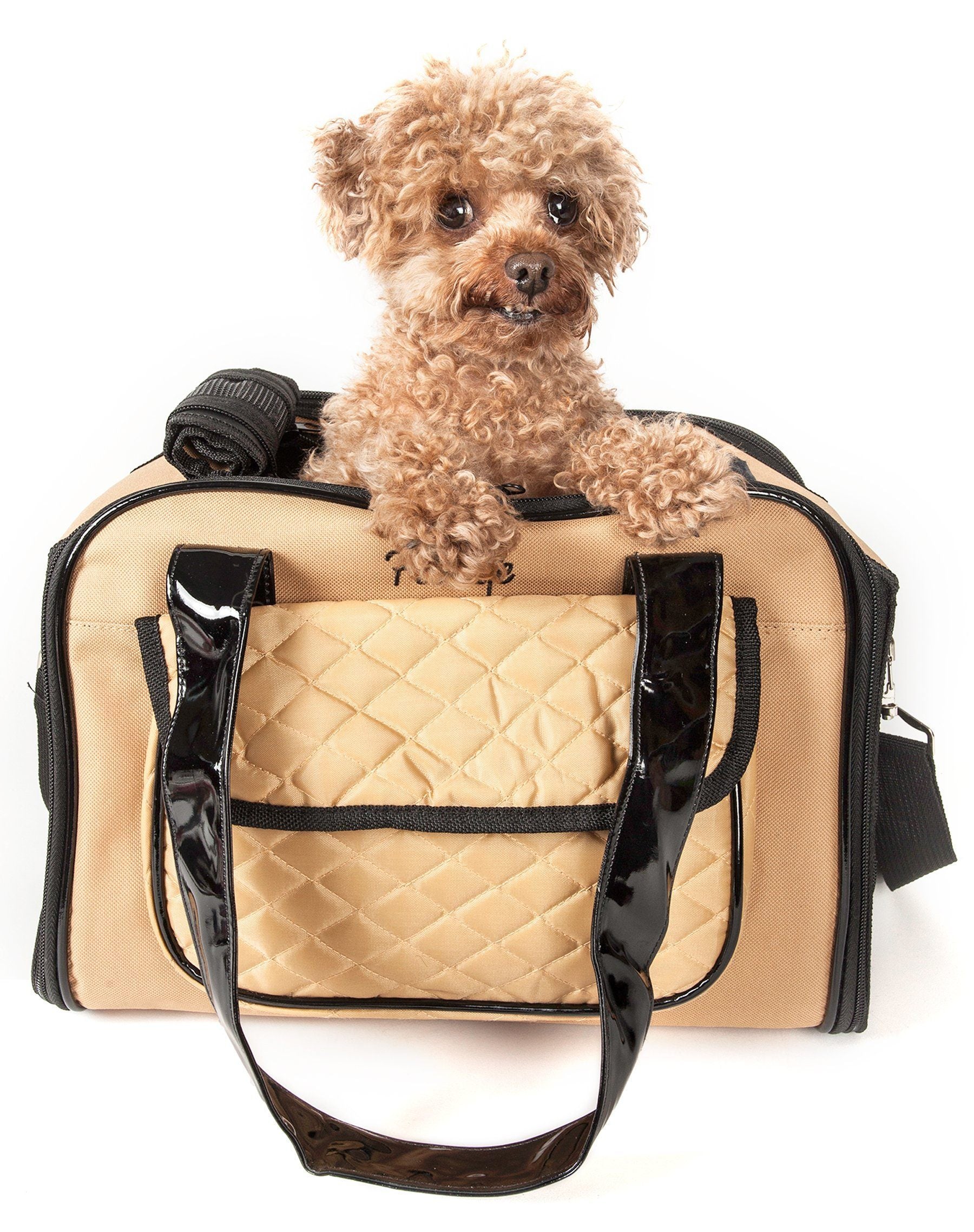 Pet Life Mystique Airline Approved Fashion Designer Travel Pet Dog Carrier w/ Pouch