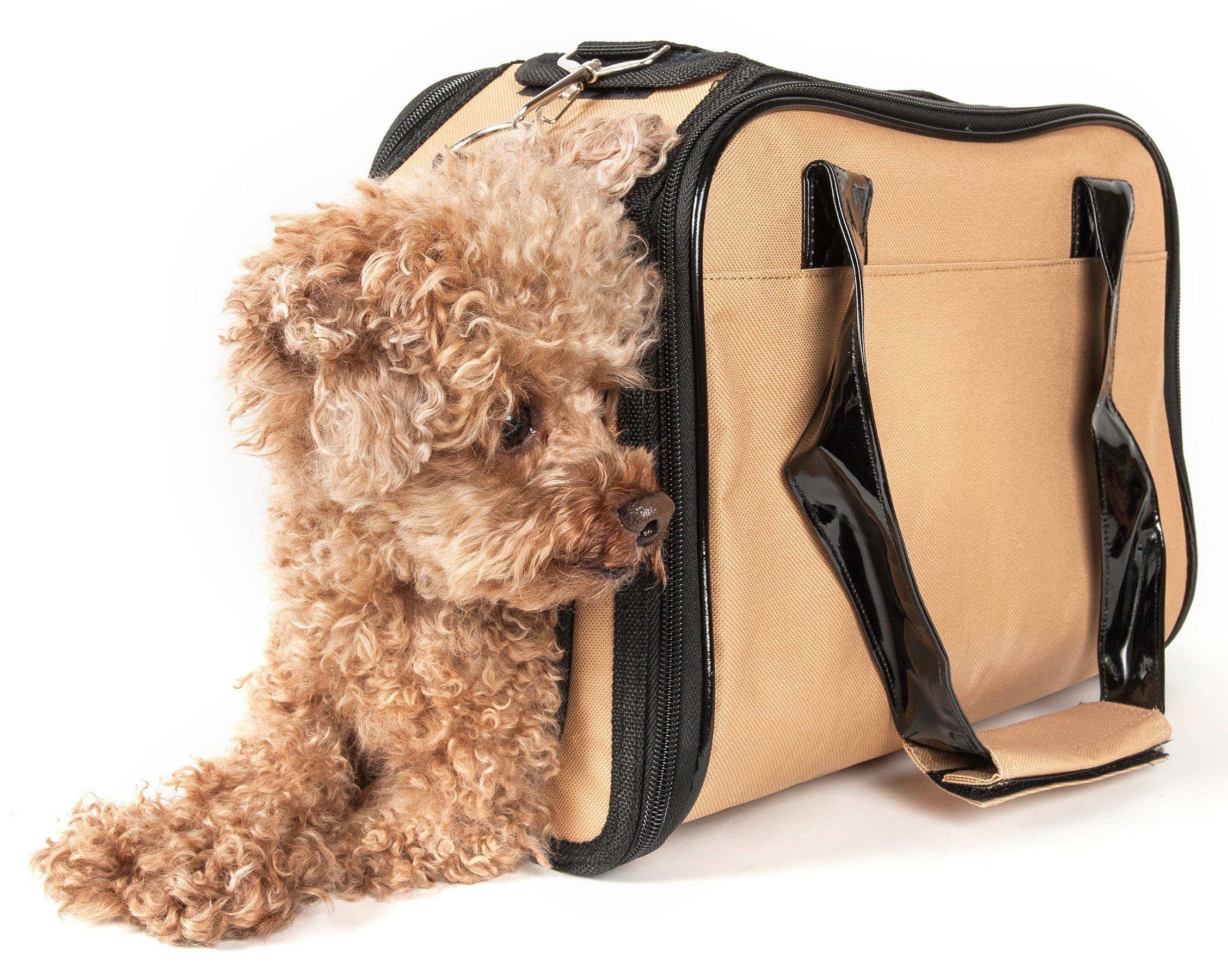 Pet Life Mystique Airline Approved Fashion Designer Travel Pet Dog Carrier w/ Pouch
