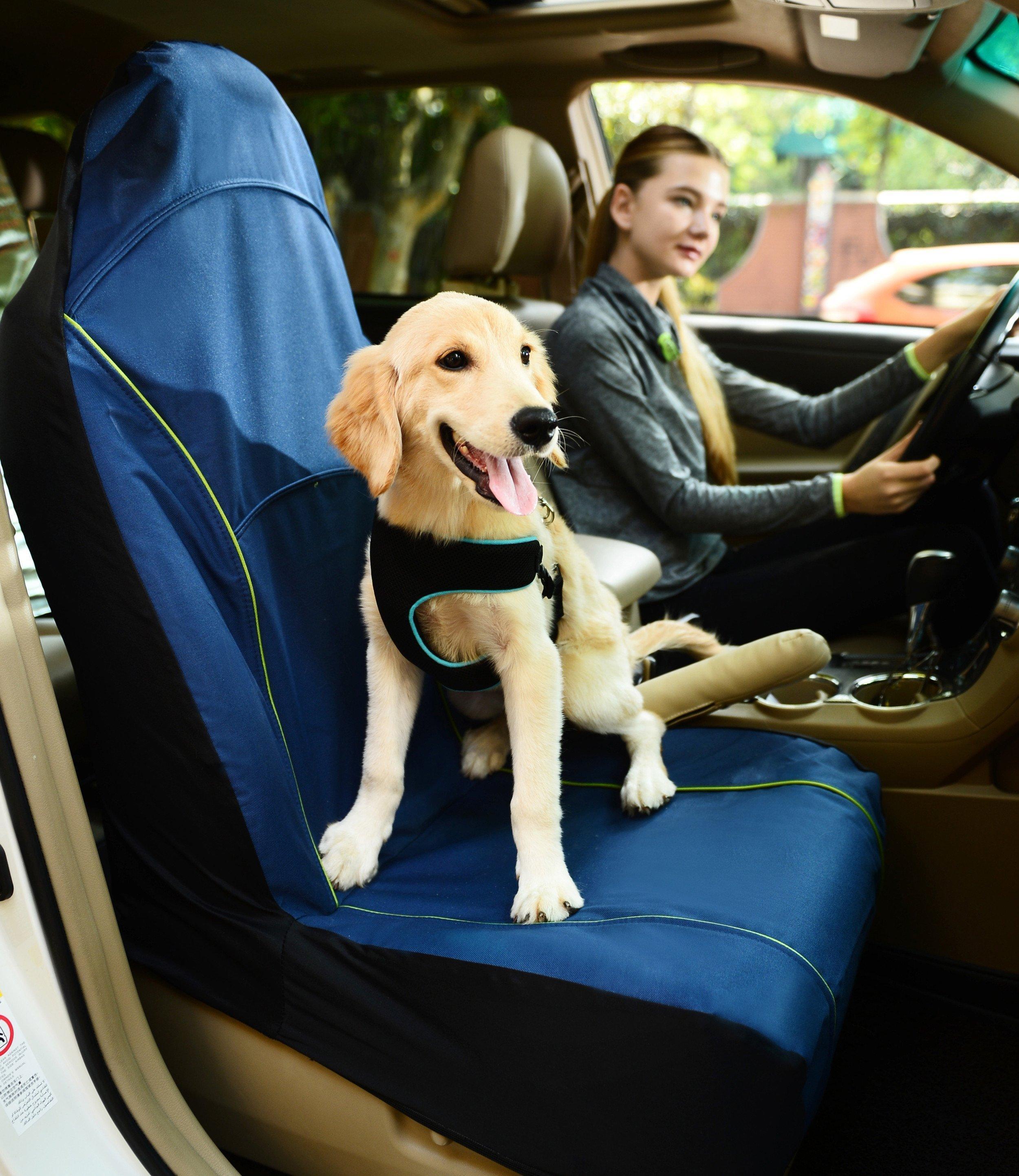 Pet Life Open Road Single Seated Safety Child Pet Cat Dog Car Seat Carseat Cover Protector