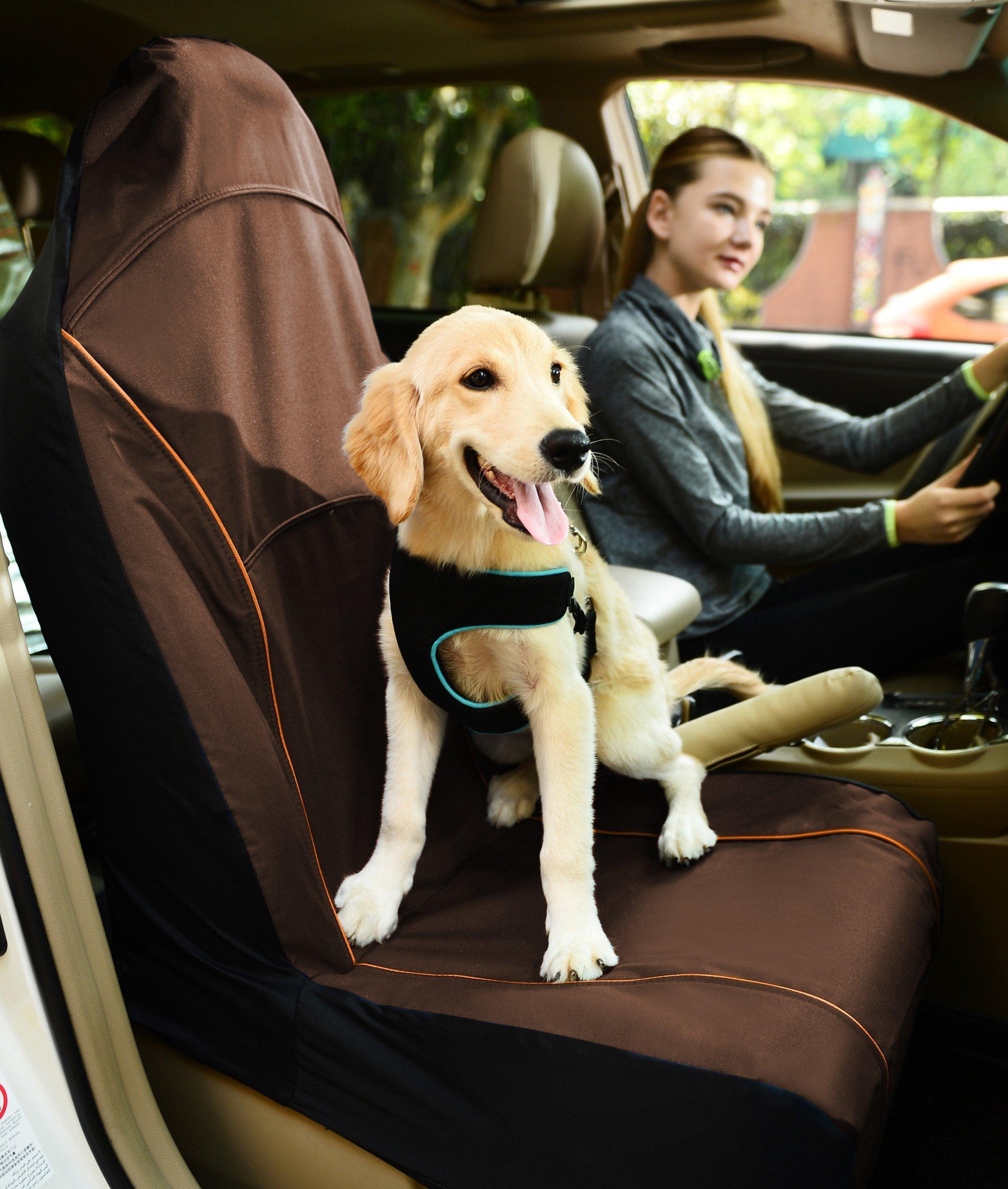 Pet Life Open Road Single Seated Safety Child Pet Cat Dog Car Seat Carseat Cover Protector