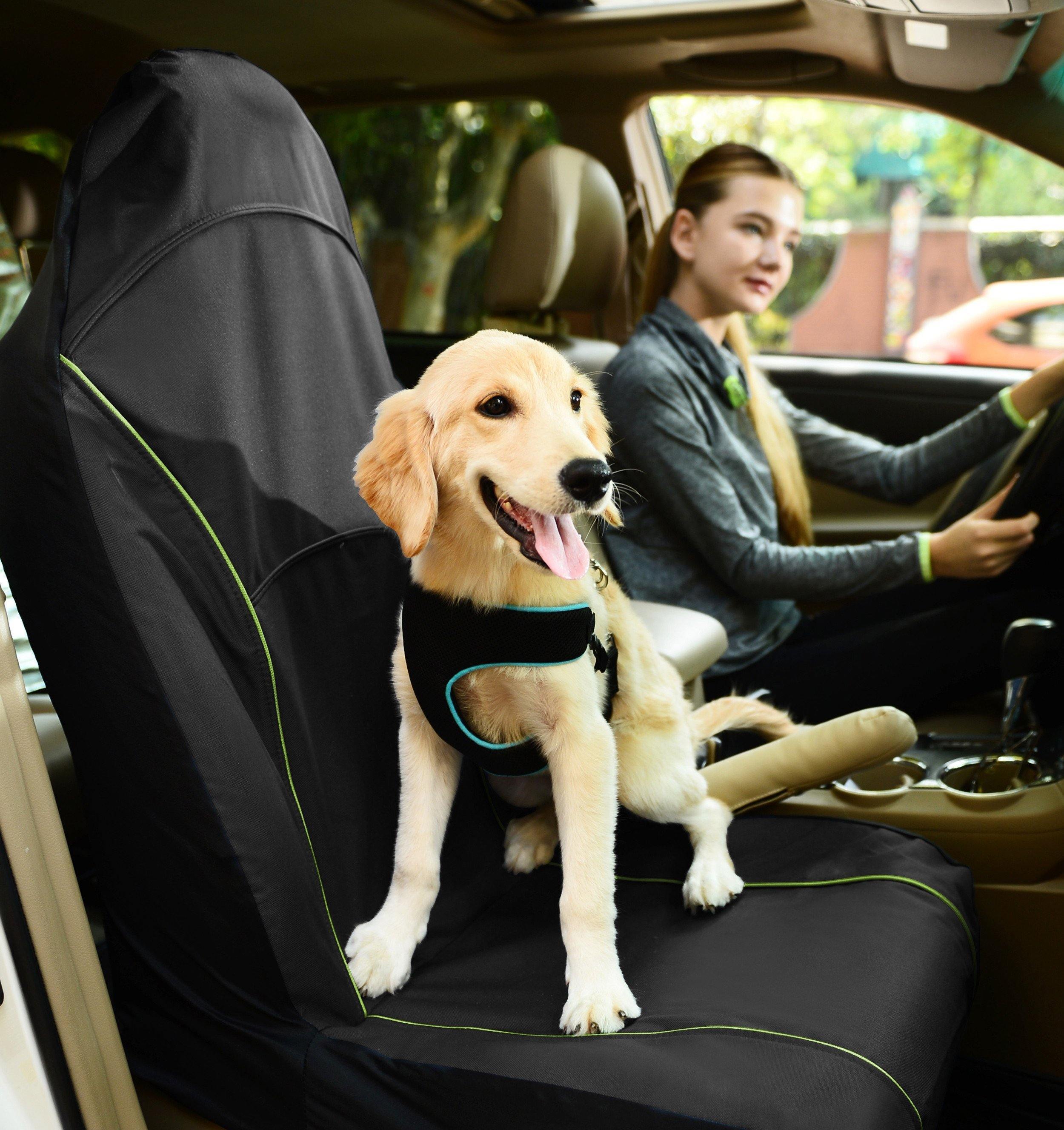 Pet Life Open Road Single Seated Safety Child Pet Cat Dog Car Seat Carseat Cover Protector