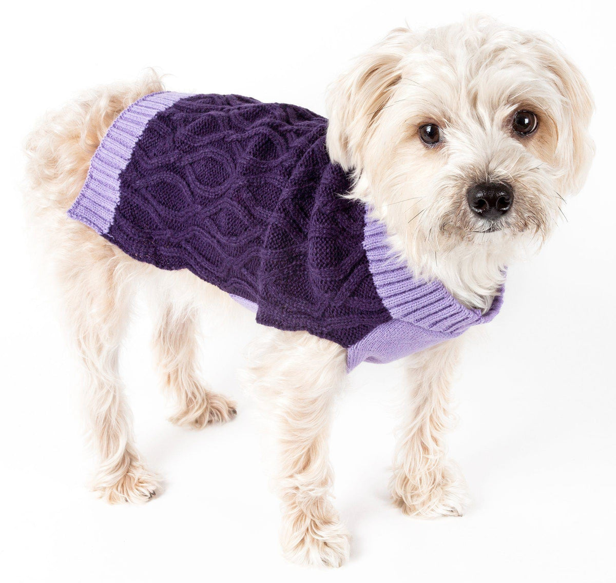 Pet Life Oval Weaved Heavy Knitted Fashion Designer Dog Sweater