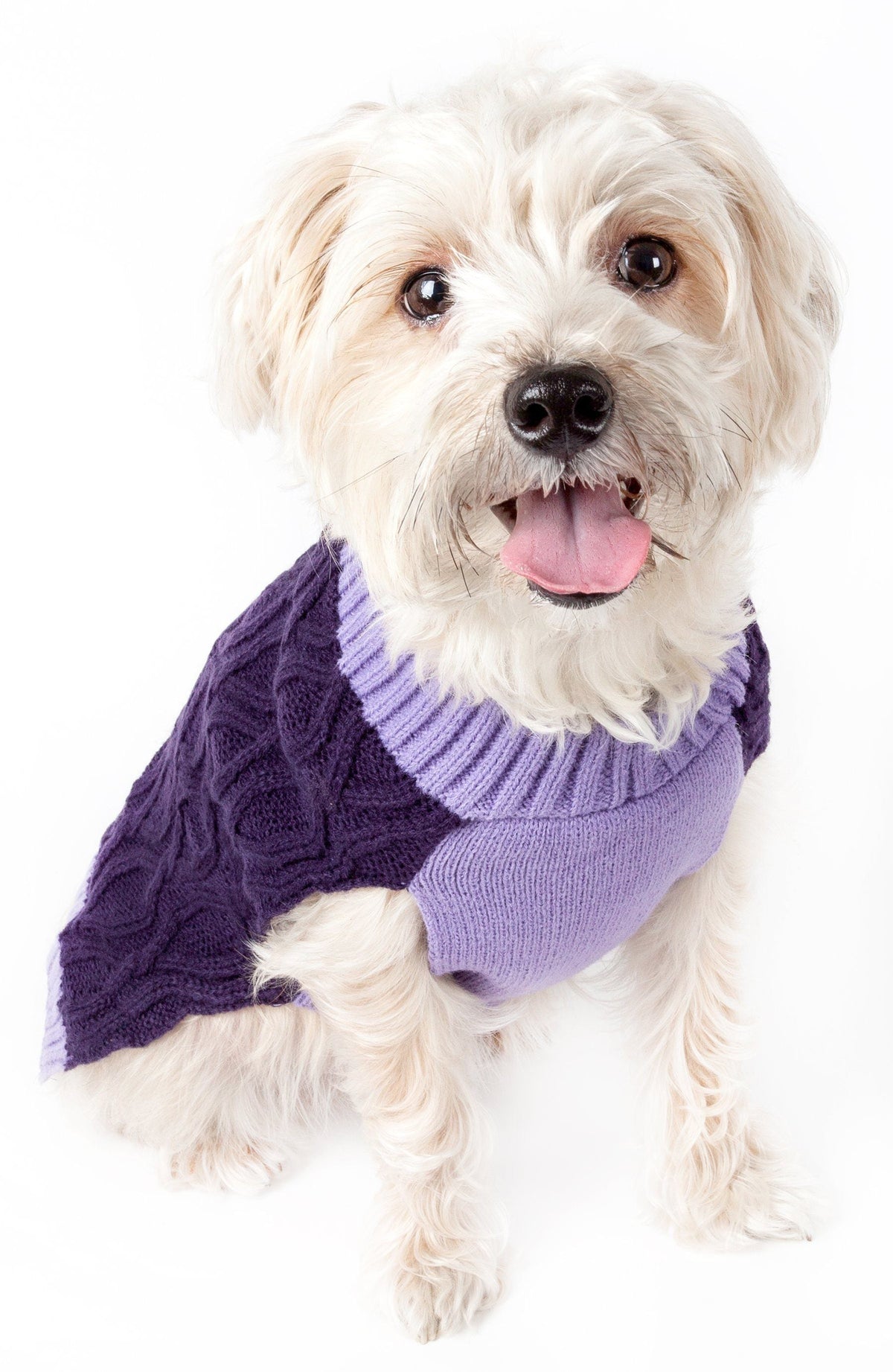 Pet Life Oval Weaved Heavy Knitted Fashion Designer Dog Sweater