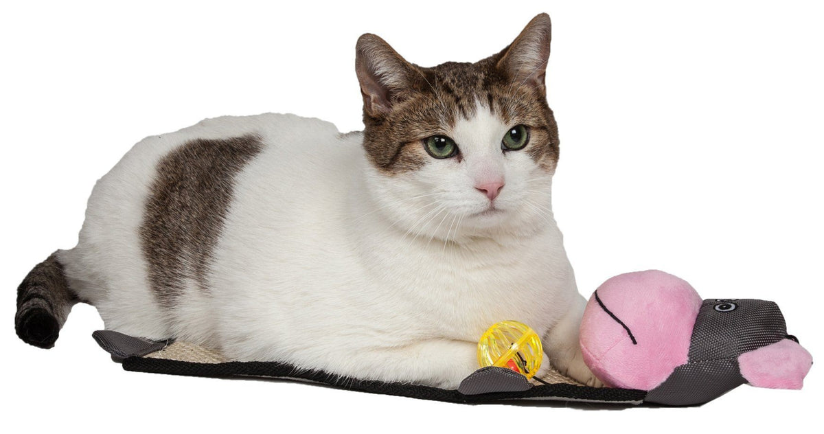 Pet Life Paw-Pleasant Hanging Sisal & Jute Carpet Kitty Cat Scratcher with Toy