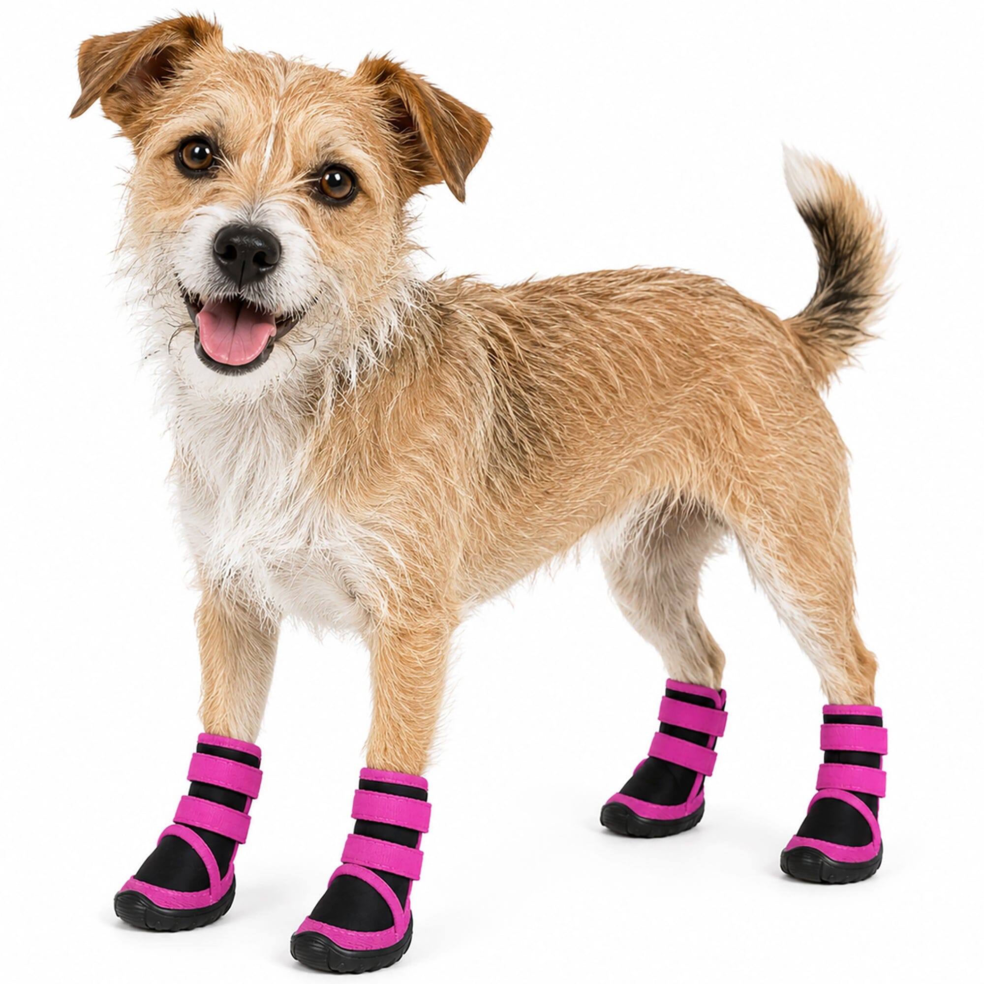 Pet Life Performance-Coned Premium Stretch High Ankle Support Dog Shoes - Set Of 4 | HT Animal Supply