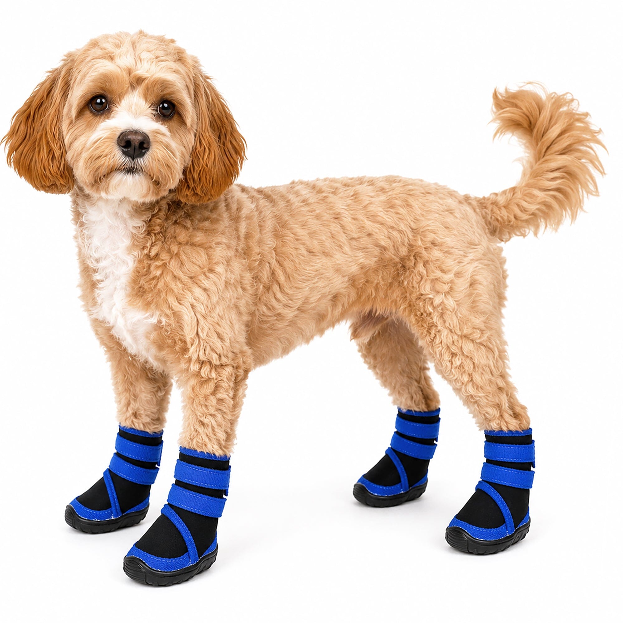 Pet Life Performance-Coned Premium Stretch High Ankle Support Dog Shoes - Set Of 4 | HT Animal Supply