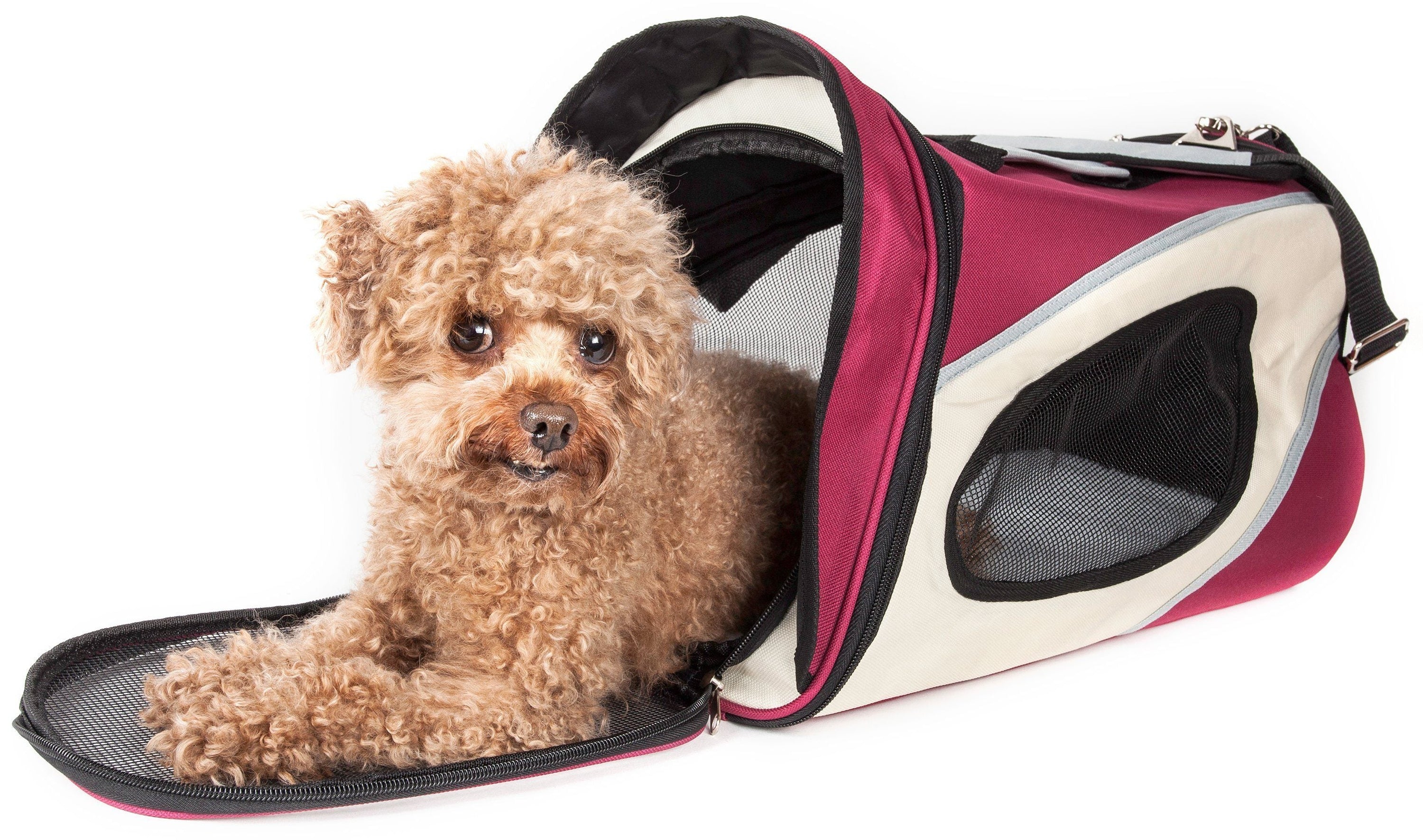 Pet Life Phenom-Air Airline Approved Collapsible Fashion Designer Pet Dog Carrier