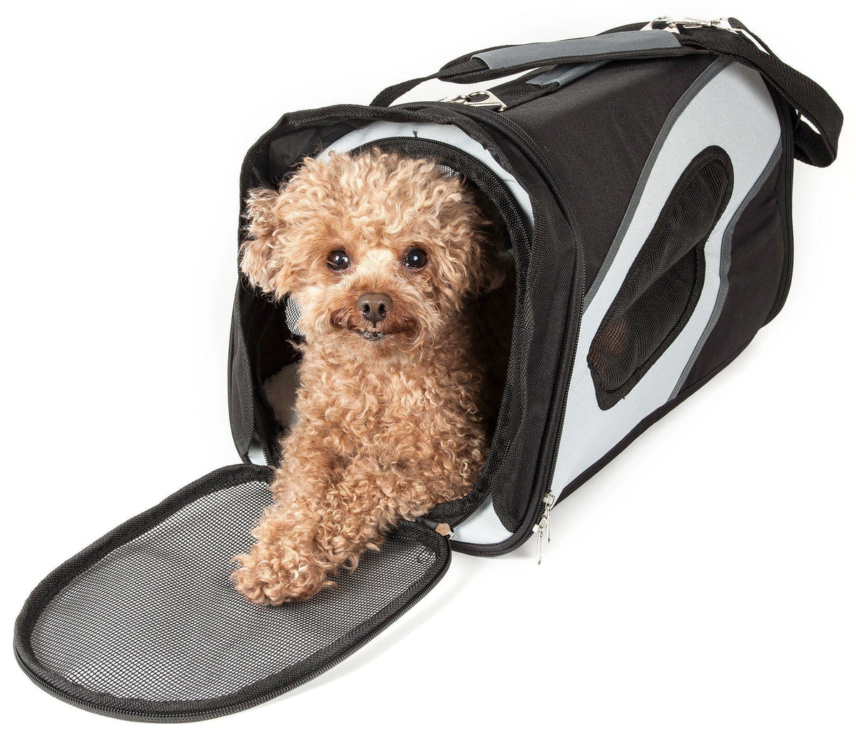 Pet Life Phenom-Air Airline Approved Collapsible Fashion Designer Pet Dog Carrier