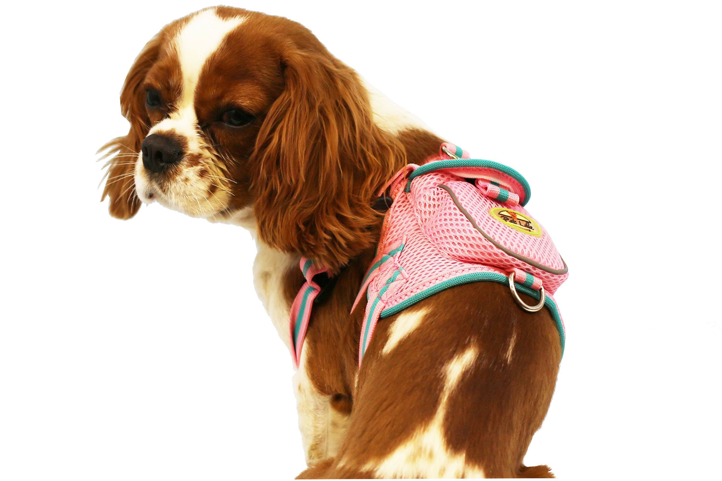 Pet Life Pocket Bark Reflective Adjustable Fashion Pet Dog Harness w/ Hook-and-Loop Pouch and Dual Harness Rings