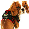 Pet Life ® Pocket Bark Reflective Adjustable Fashion Pet Dog Harness w/ Hook-and-Loop Pouch and Dual Harness Rings