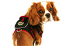 Pet Life Pocket Bark Reflective Adjustable Fashion Pet Dog Harness w/ Hook-and-Loop Pouch and Dual Harness Rings