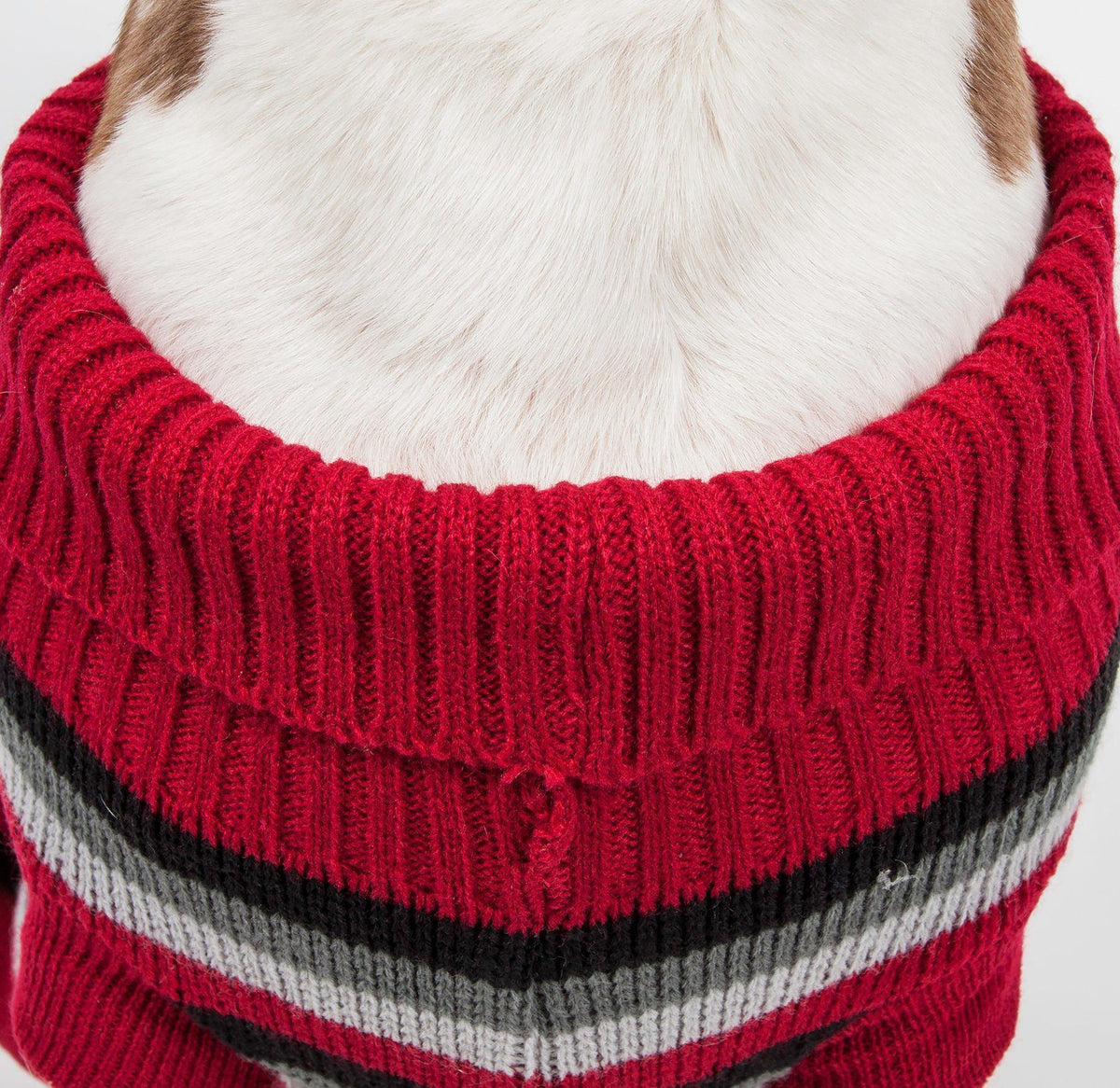 Pet Life Polo-Casual Lounge Cable Knitted Designer Turtle Neck Dog Sweater