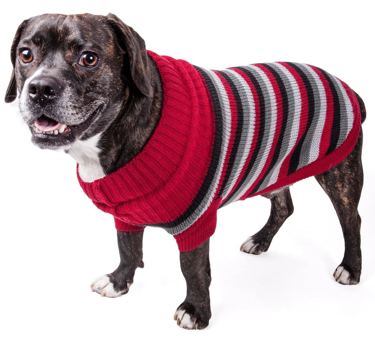 Pet Life Polo-Casual Lounge Cable Knitted Designer Turtle Neck Dog Sweater