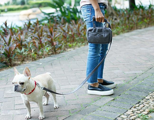 Pet Life Posh Walk Purse Dog Leash, Accessory Holder and Waste Bag Dispenser