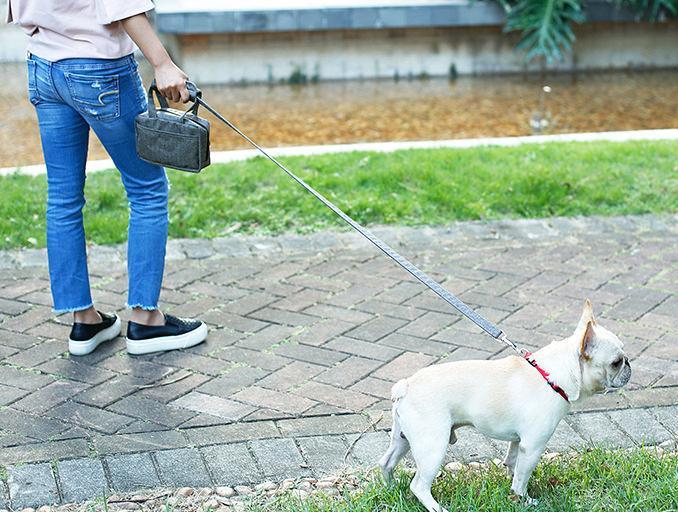 Pet Life Posh Walk Purse Dog Leash, Accessory Holder and Waste Bag Dispenser