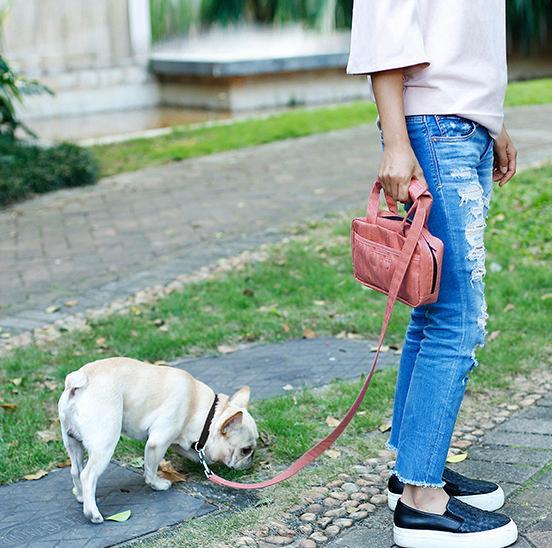 Pet Life Posh Walk Purse Dog Leash, Accessory Holder and Waste Bag Dispenser