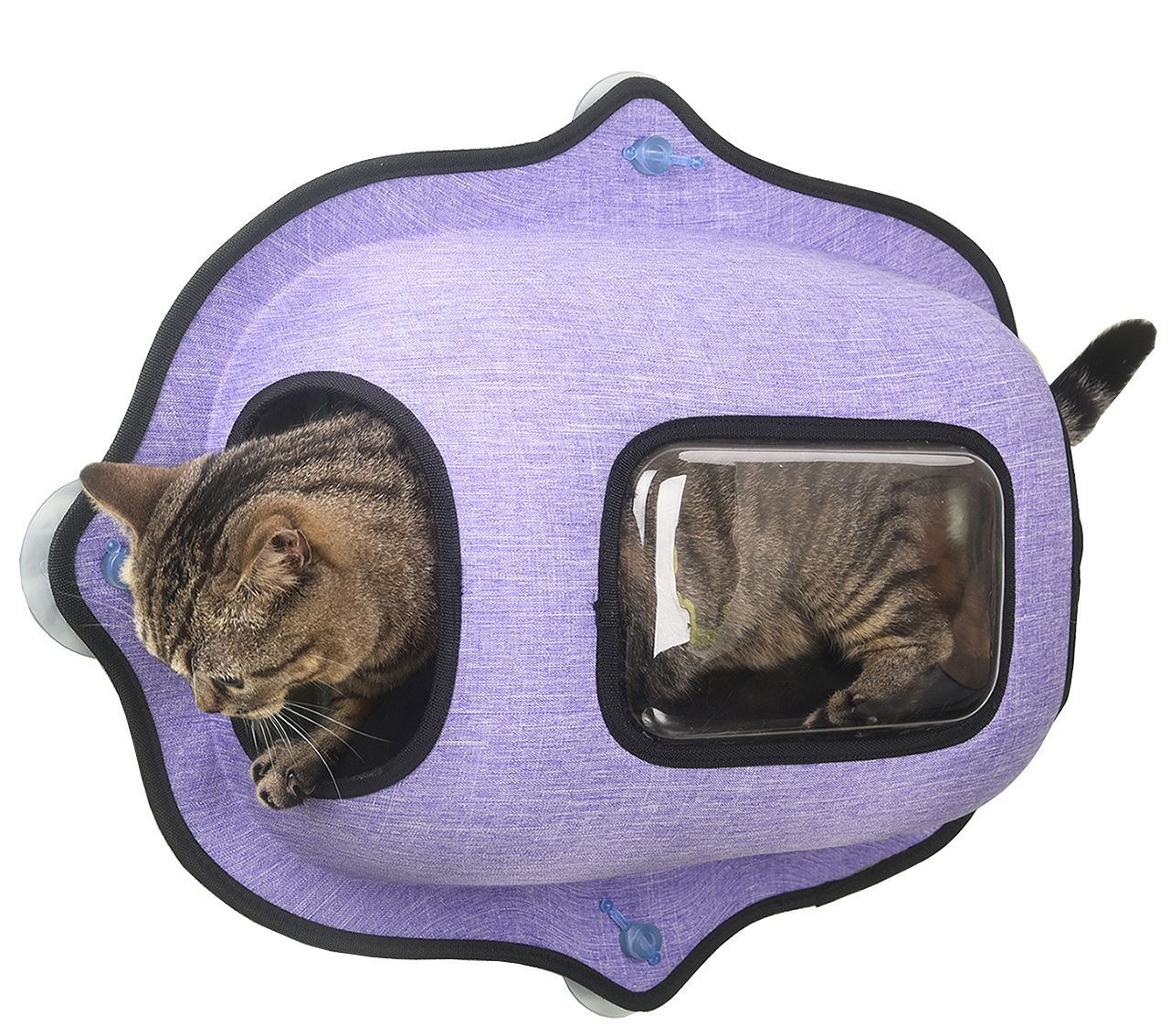 Pet Life Purr-view See-through Suction Cup Kitty Cat Lounger and Bed