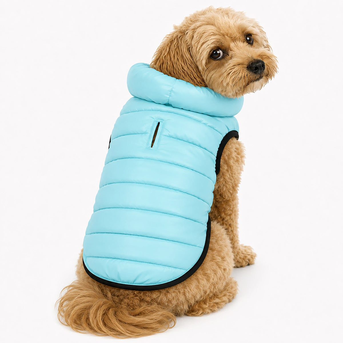 Pet Life Pursuit Quilted Ultra-Plush Thermal Dog Jacket | HT Animal Supply