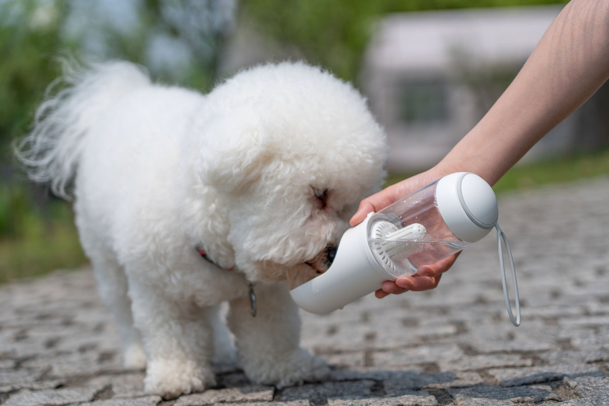 Pet Life PYURE Handheld Travel Filtered Water Feeder