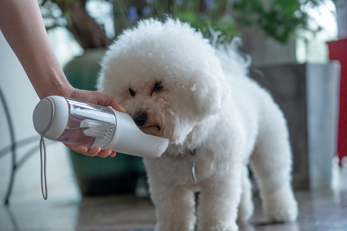 Pet Life PYURE Handheld Travel Filtered Water Feeder