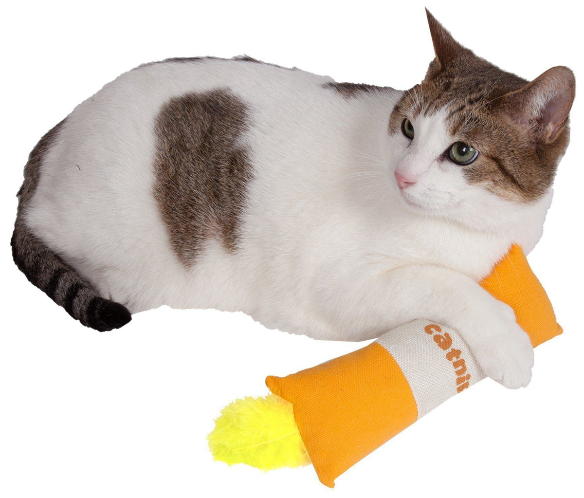 Pet Life Duffle Feathered Squeak and Crinkle Teaser Plush Cat Toy