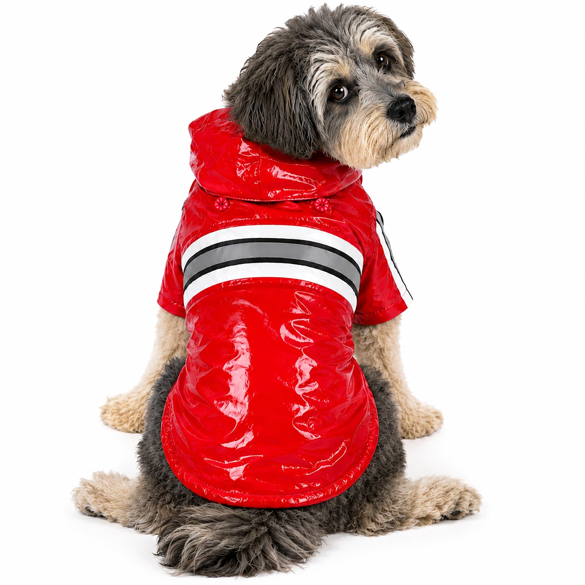 Pet Life Reflecta-Glow Reflective Waterproof Adjustable Dog Raincoat Jacket w/ Removable Hood | HT Animal Supply