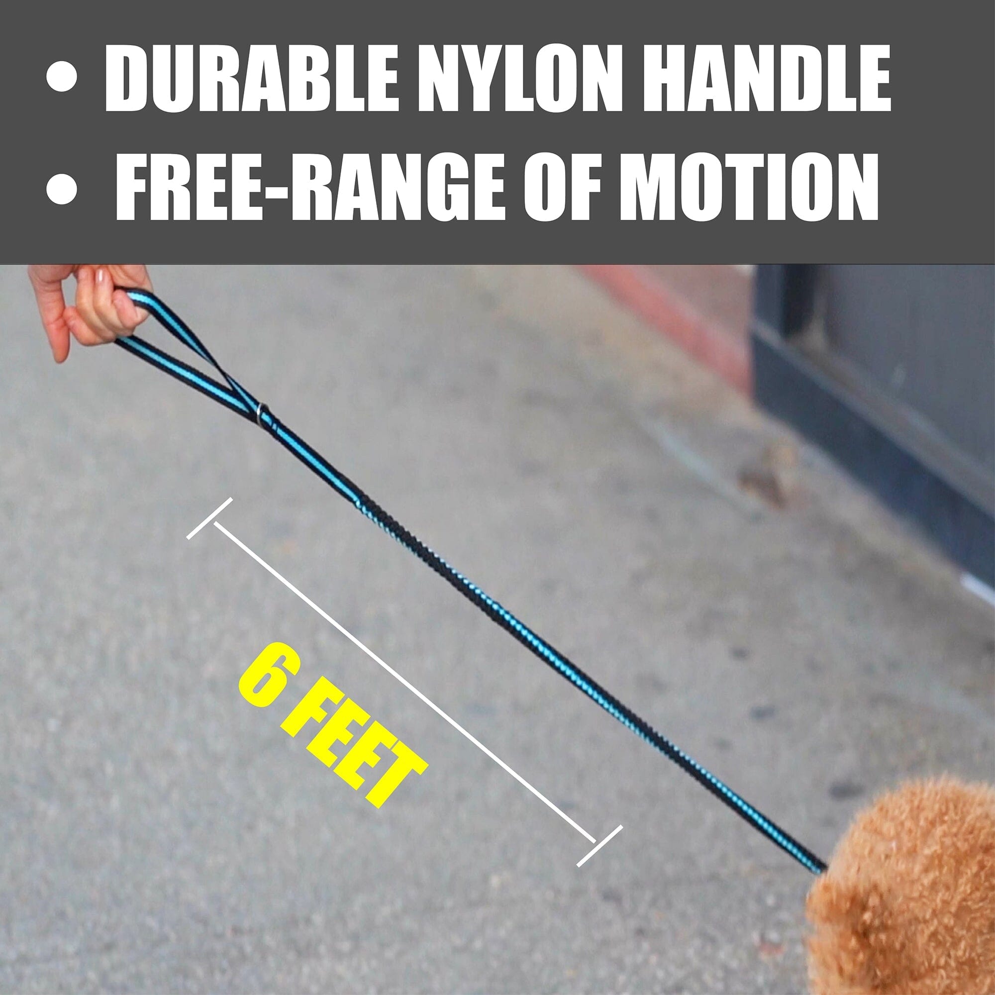 Pet Life Retract-A-Wag Shock Absorption Stitched Durable Pet Dog Leash | HT Animal Supply